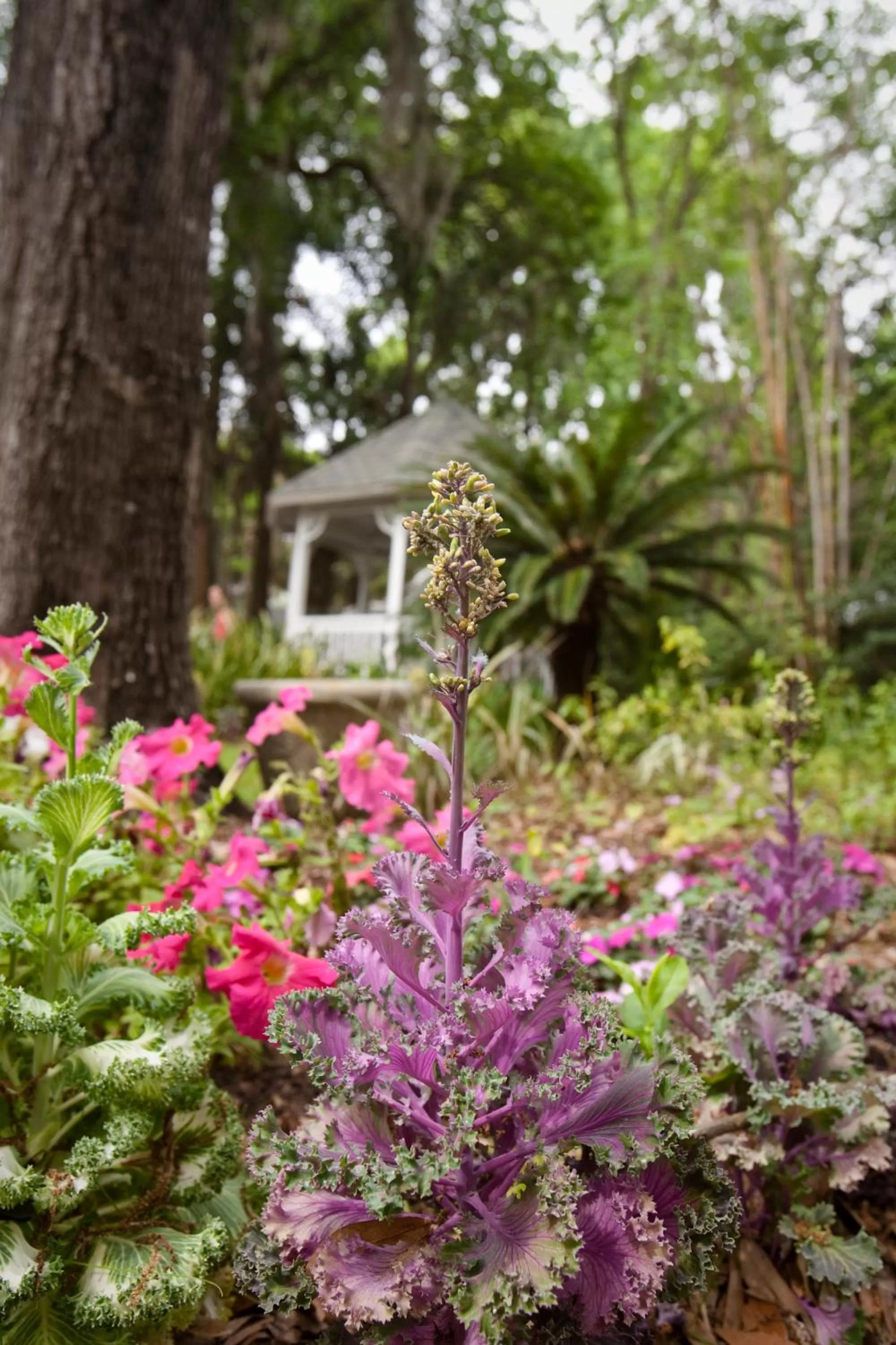 Garden in Sweetwater Branch Inn