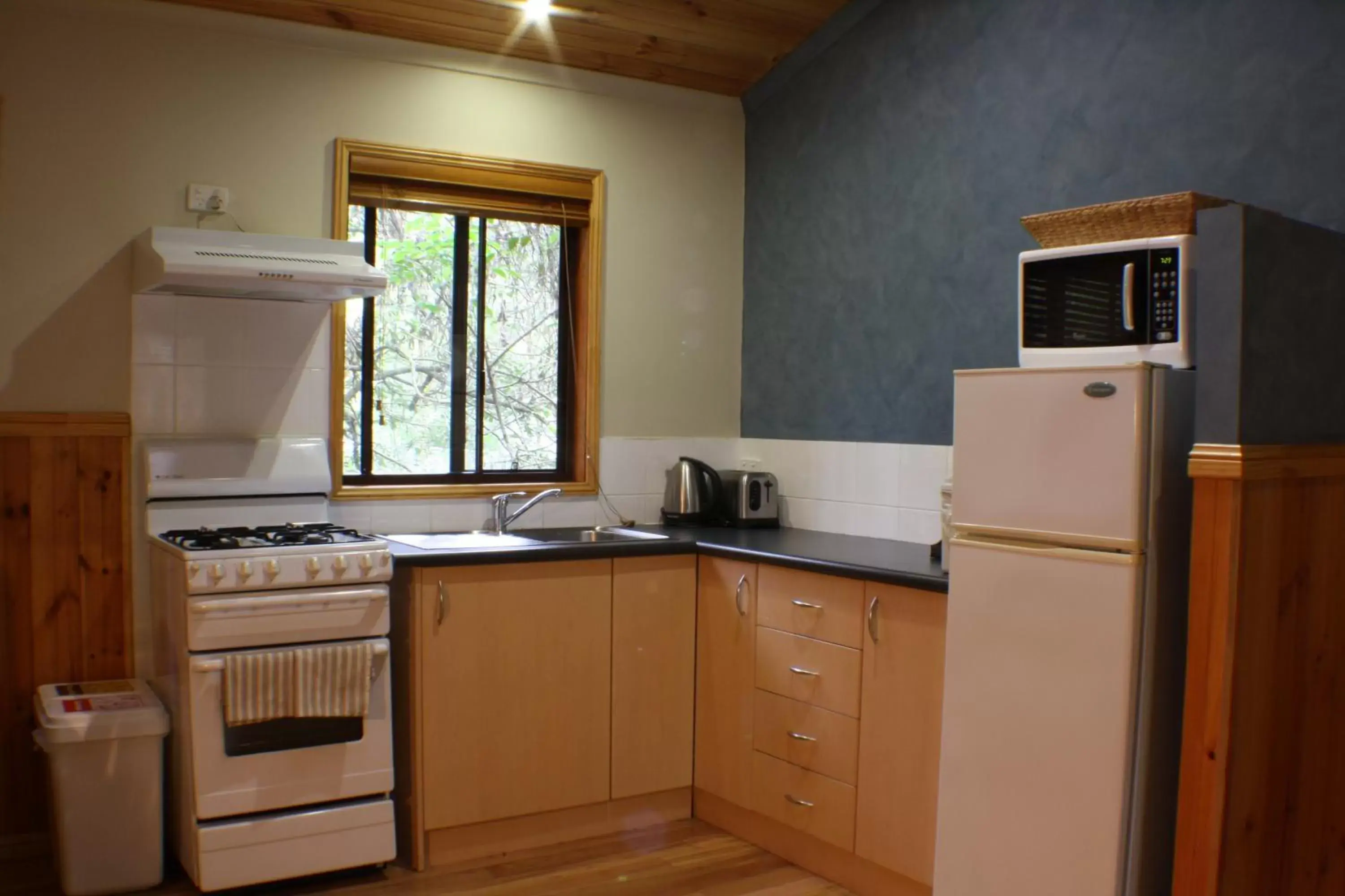 Living room, Kitchen/Kitchenette in Wanderers Retreat