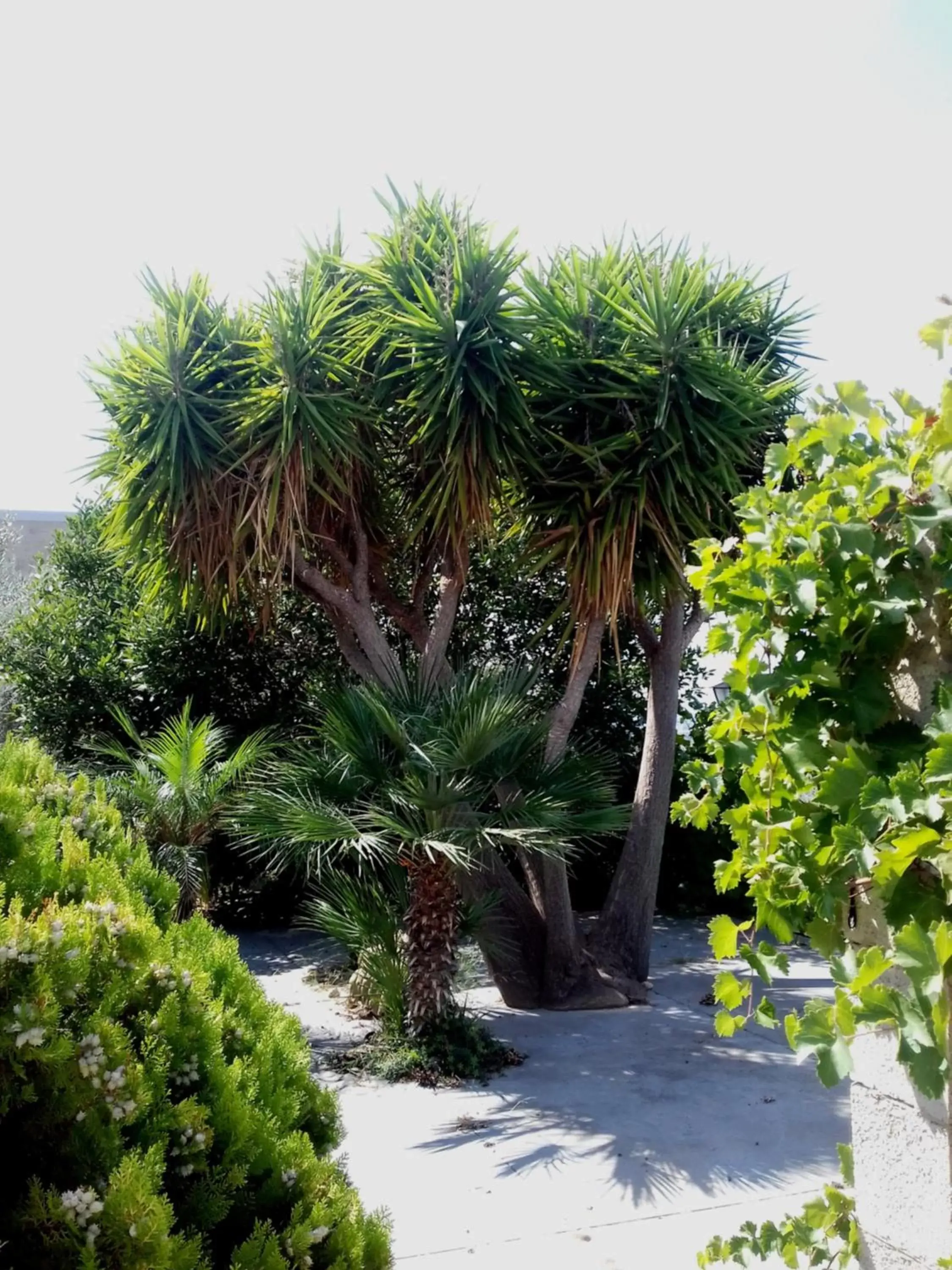 Garden in Ronnavona Casa Vacanze B&B