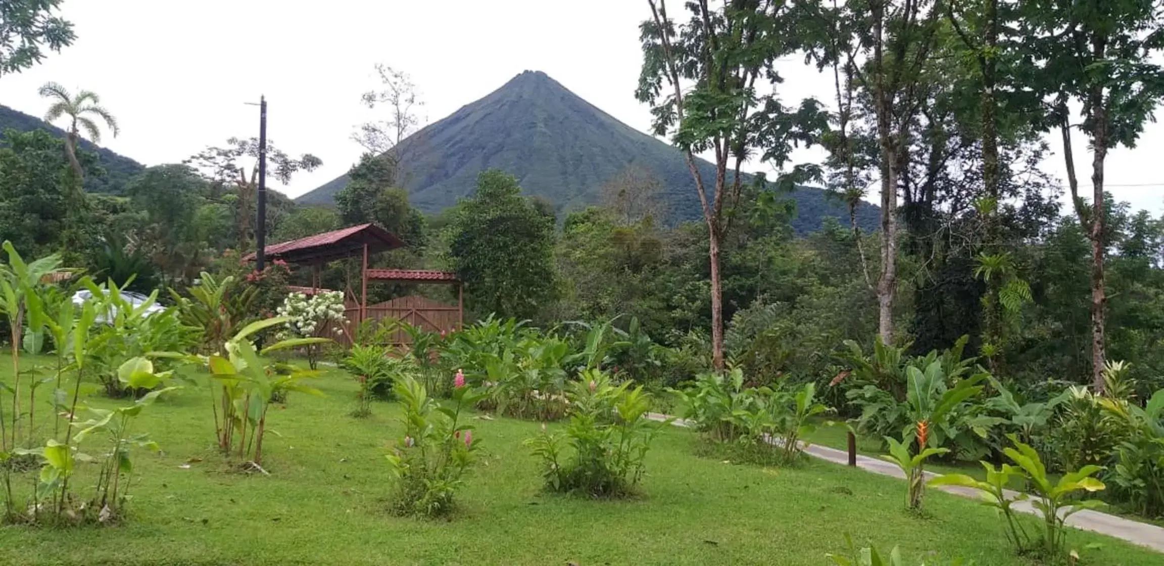 Natural landscape in Tropical Suites & Villas