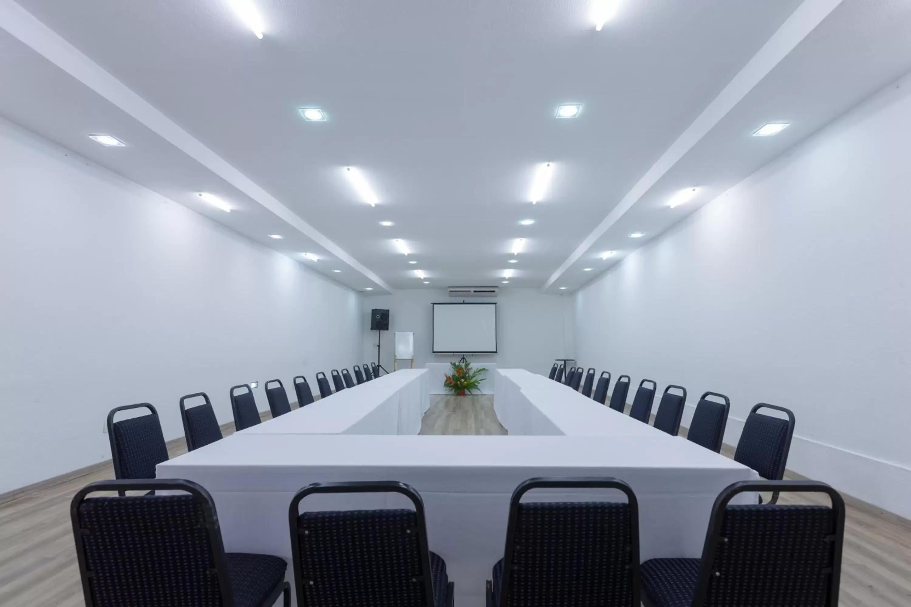 Meeting/conference room in Hotel Executive Arrey