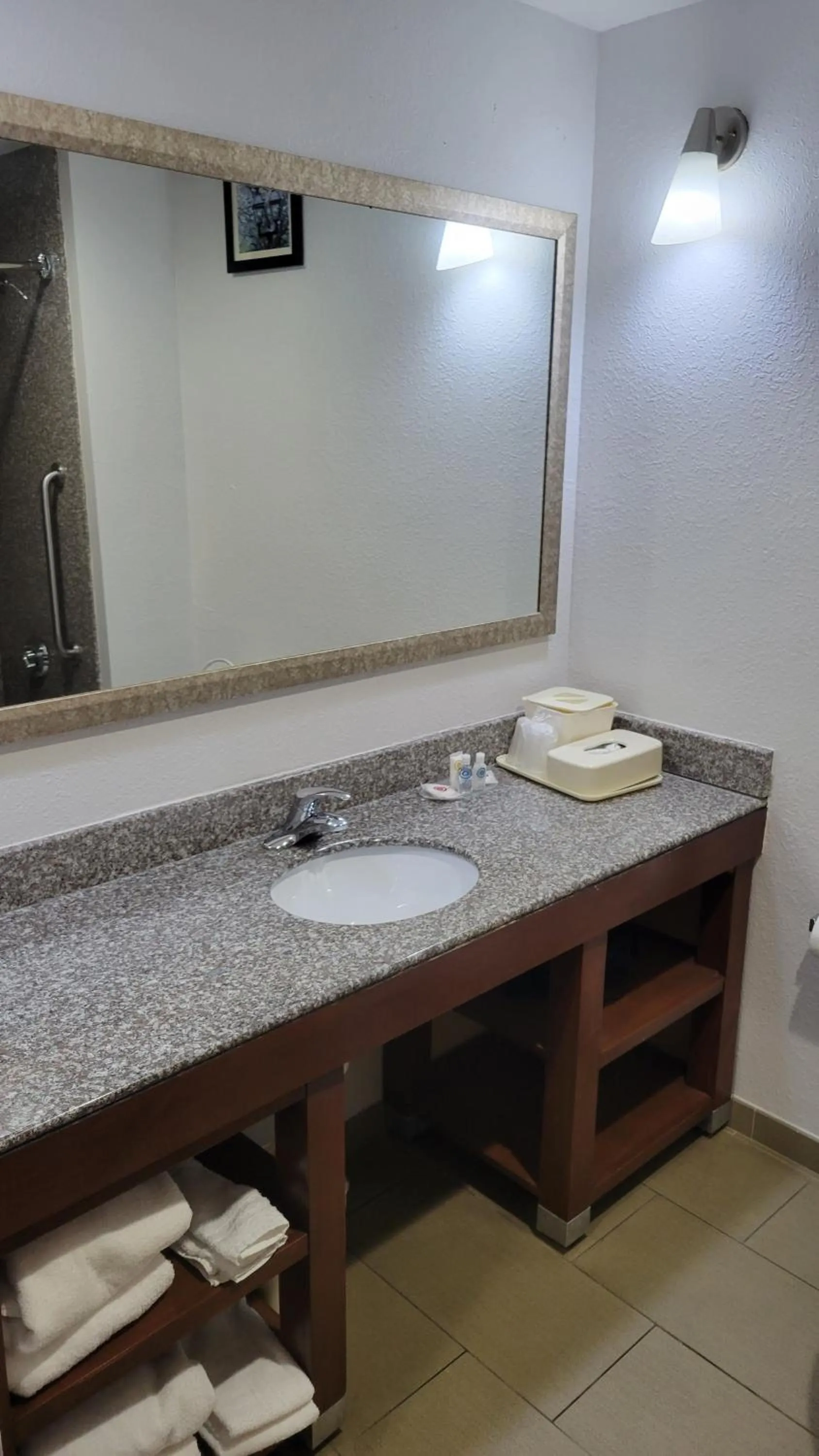 Bathroom in Comfort Suites Macon Northwest