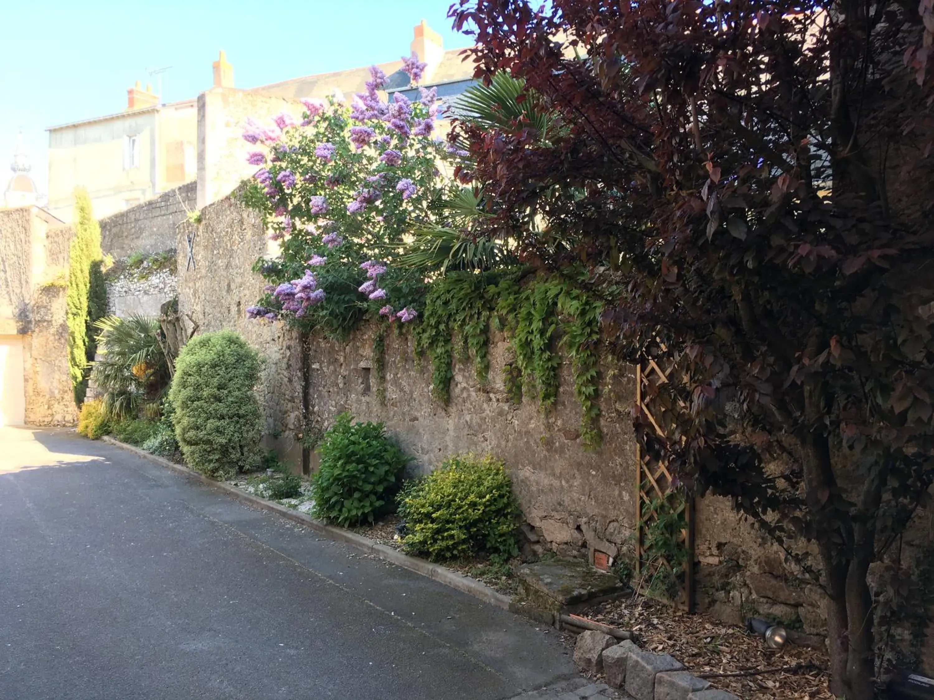 Garden in Logis Hotel Le Chêne Vert