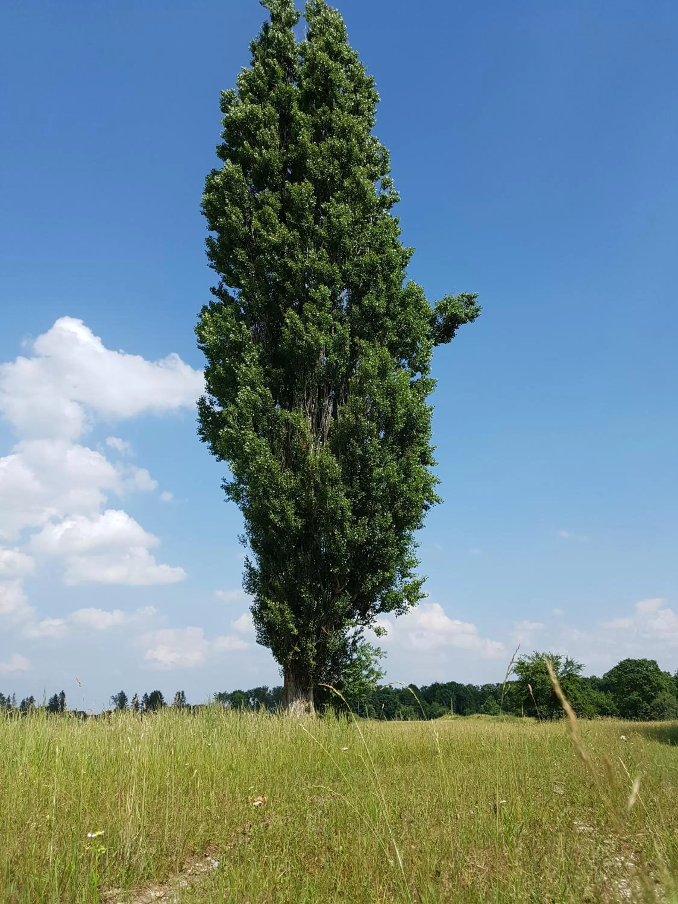 Horse-riding in Kurhotel Anders