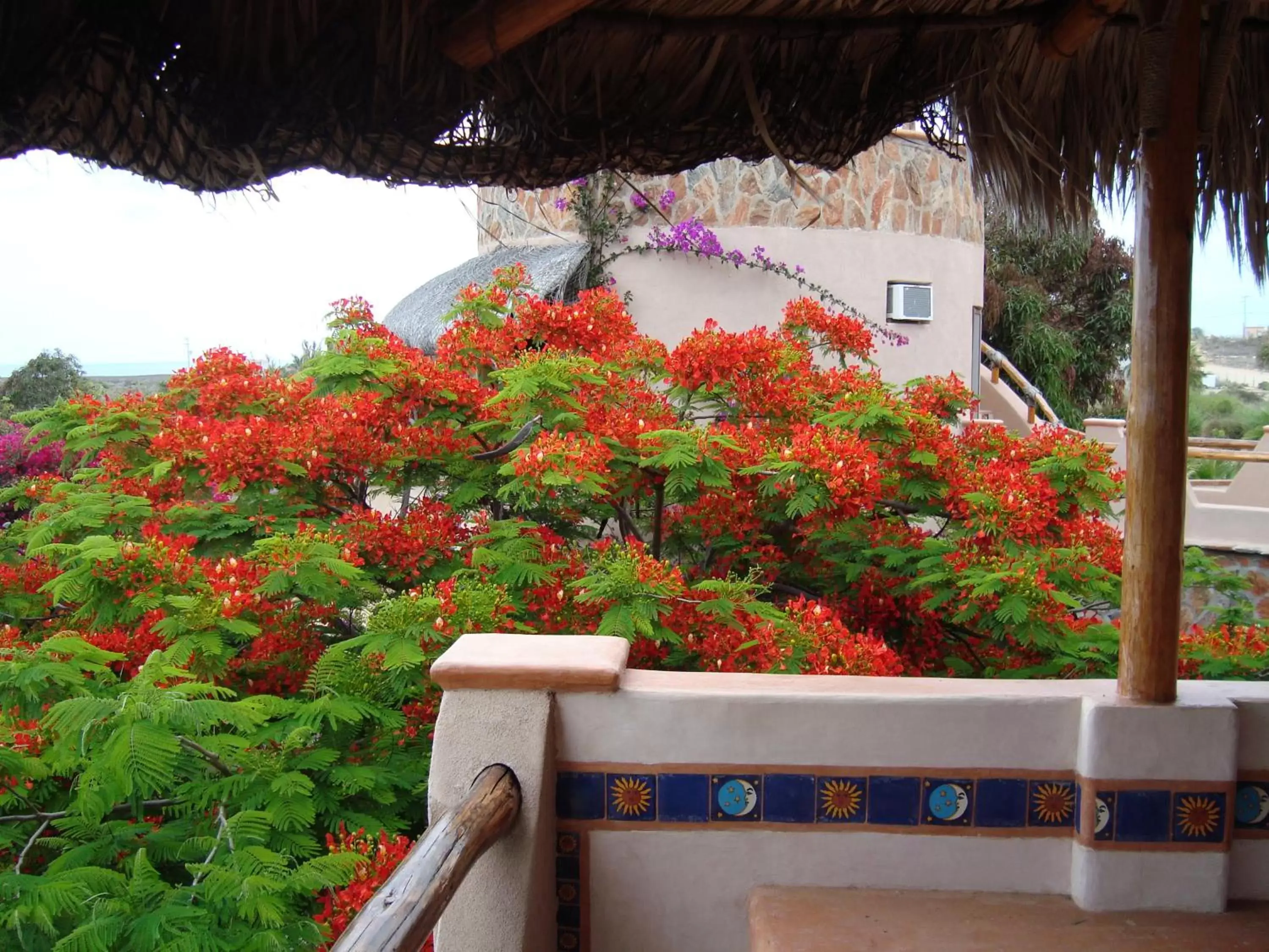 Day, Balcony/Terrace in Serendipity