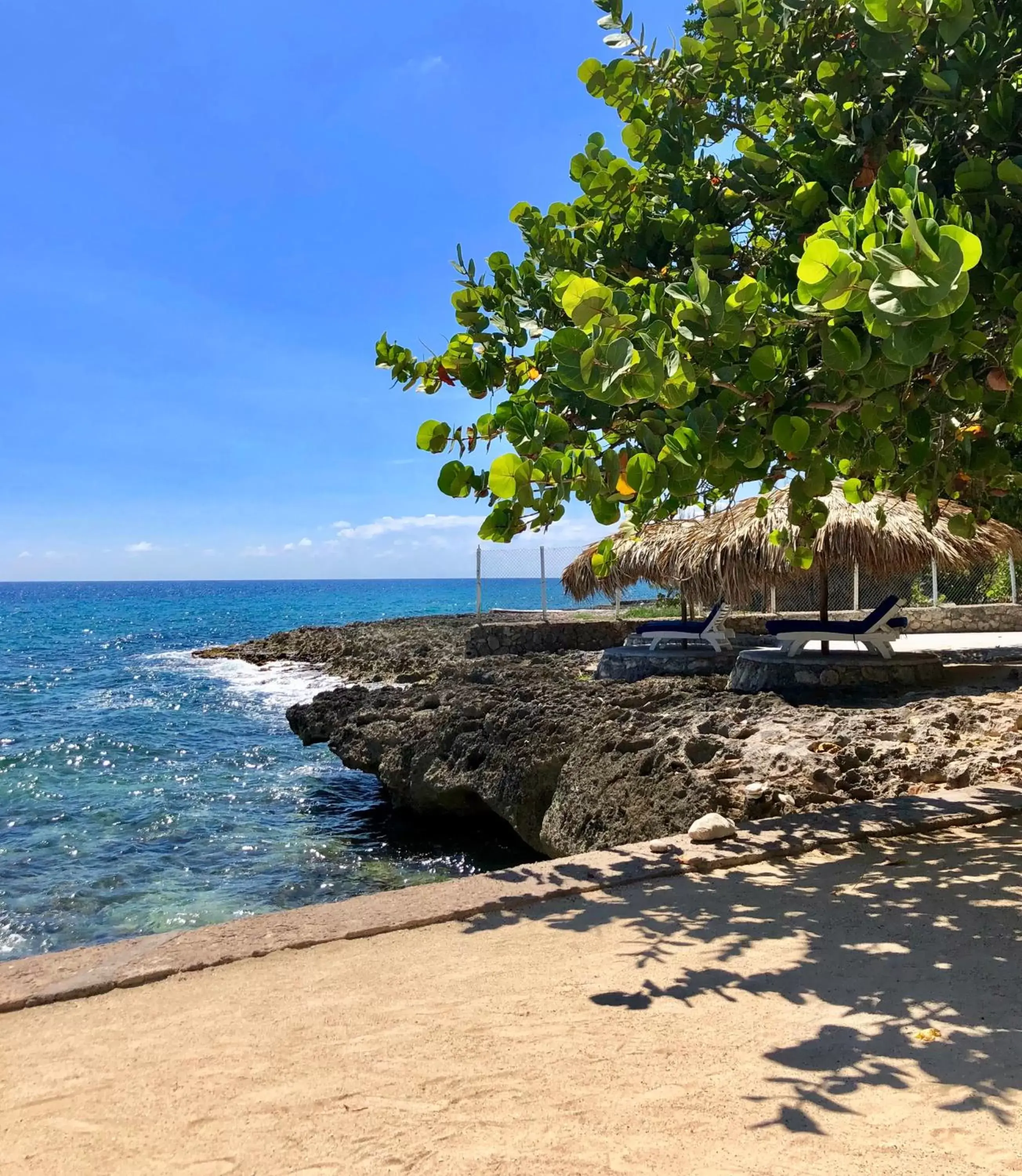 Spring, Beach in The Westender Inn