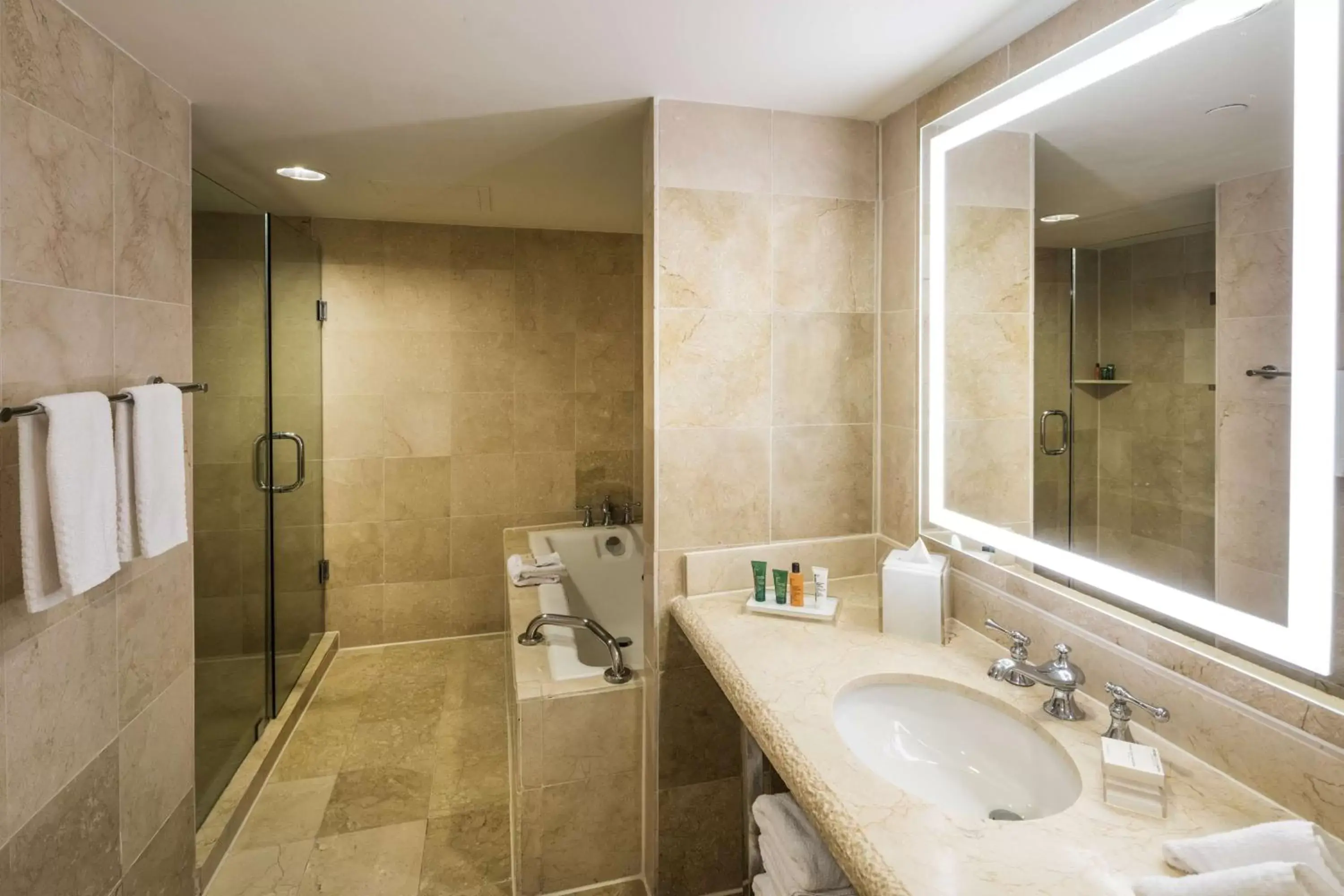 Bathroom in Hilton Aruba Caribbean Resort & Casino