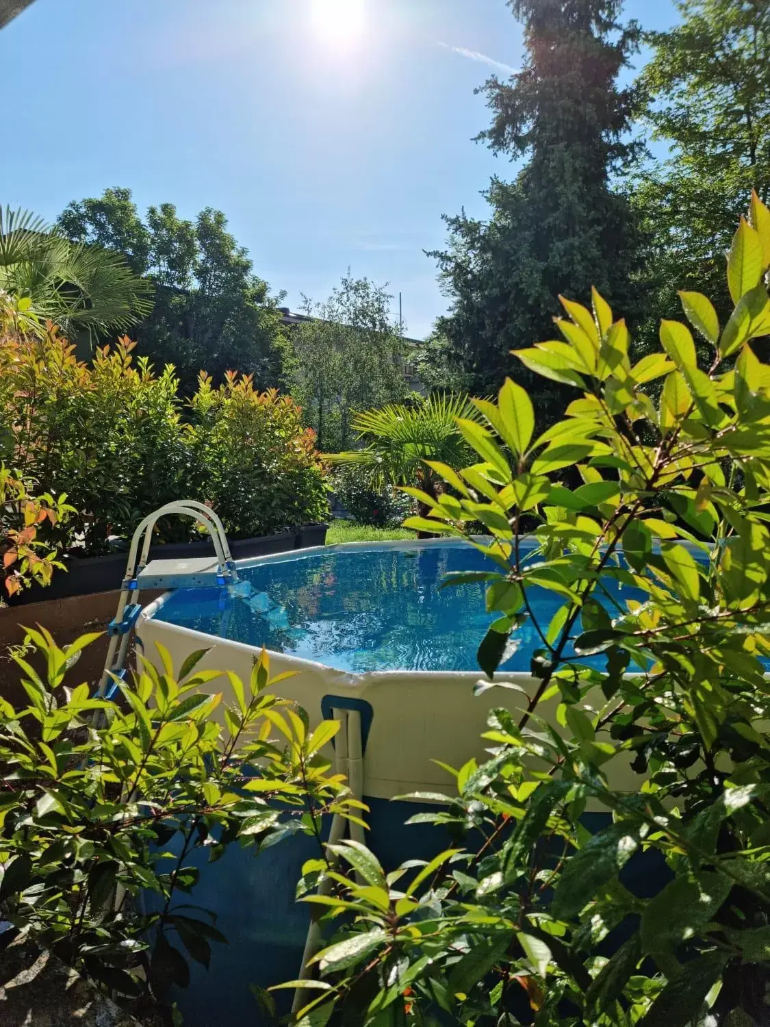 Swimming Pool in Victoria Royal Garden