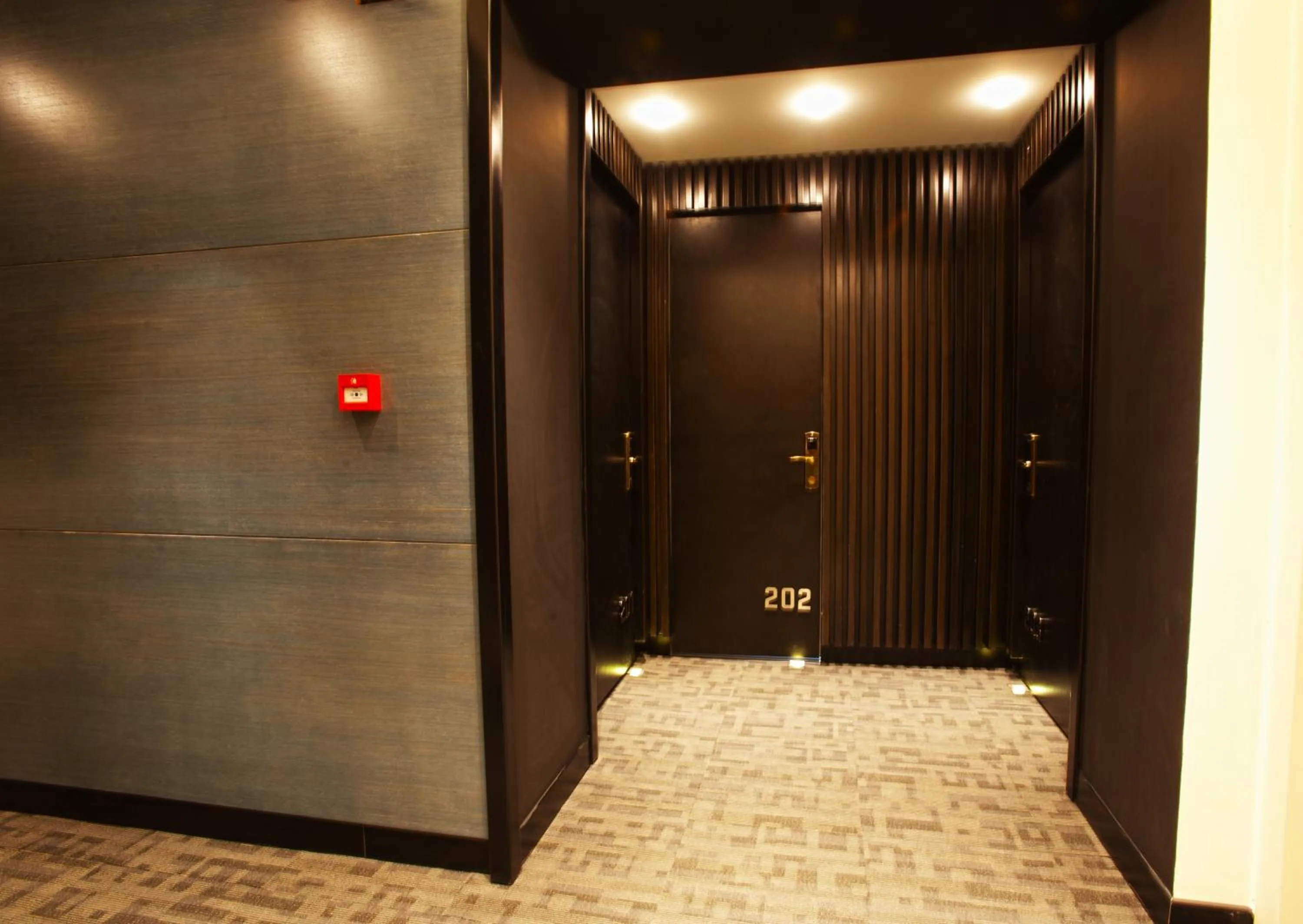 Property building in Taksim Hotel V Plus