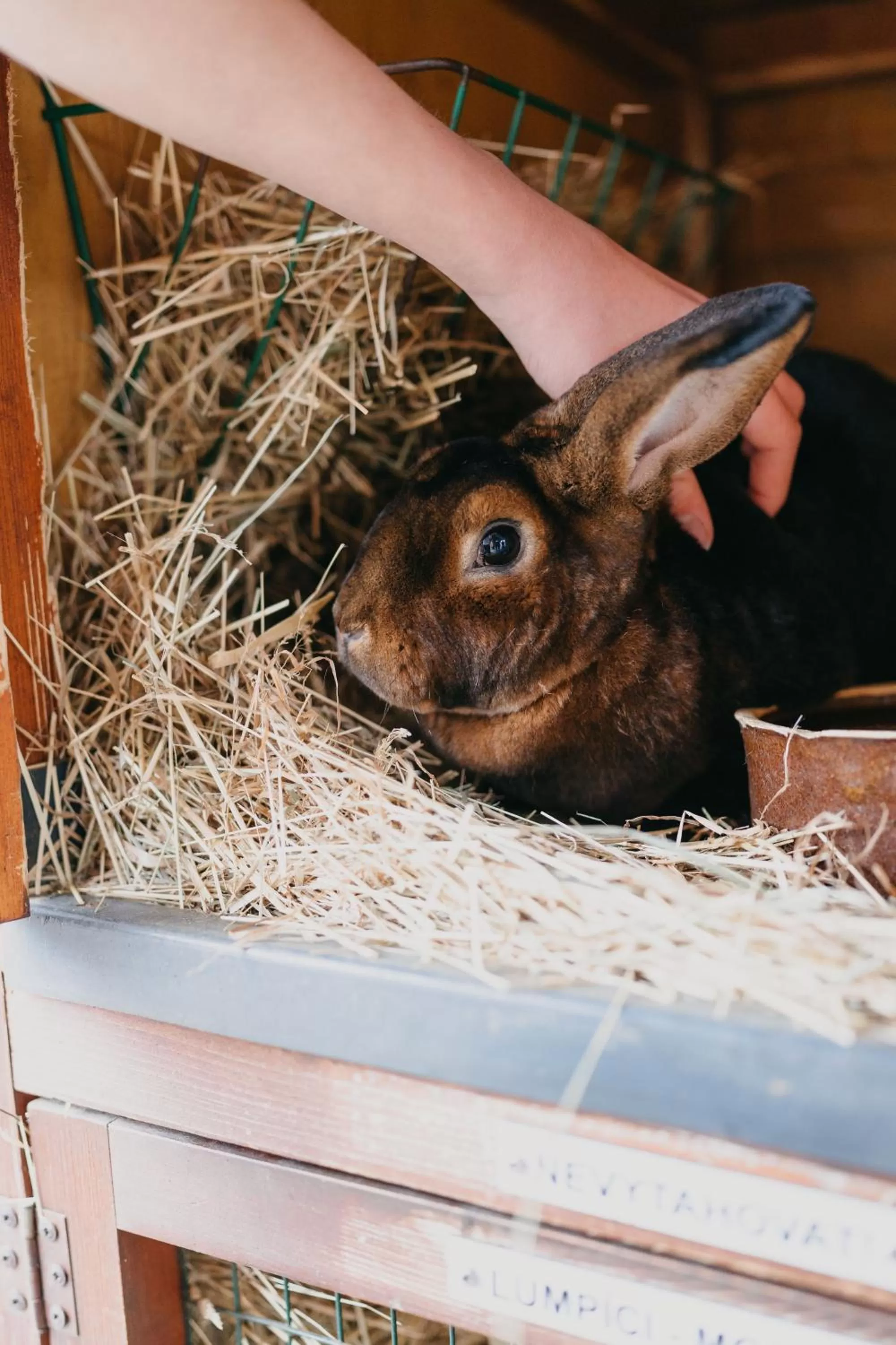 Animals in OREA Resort Panorama Moravský kras
