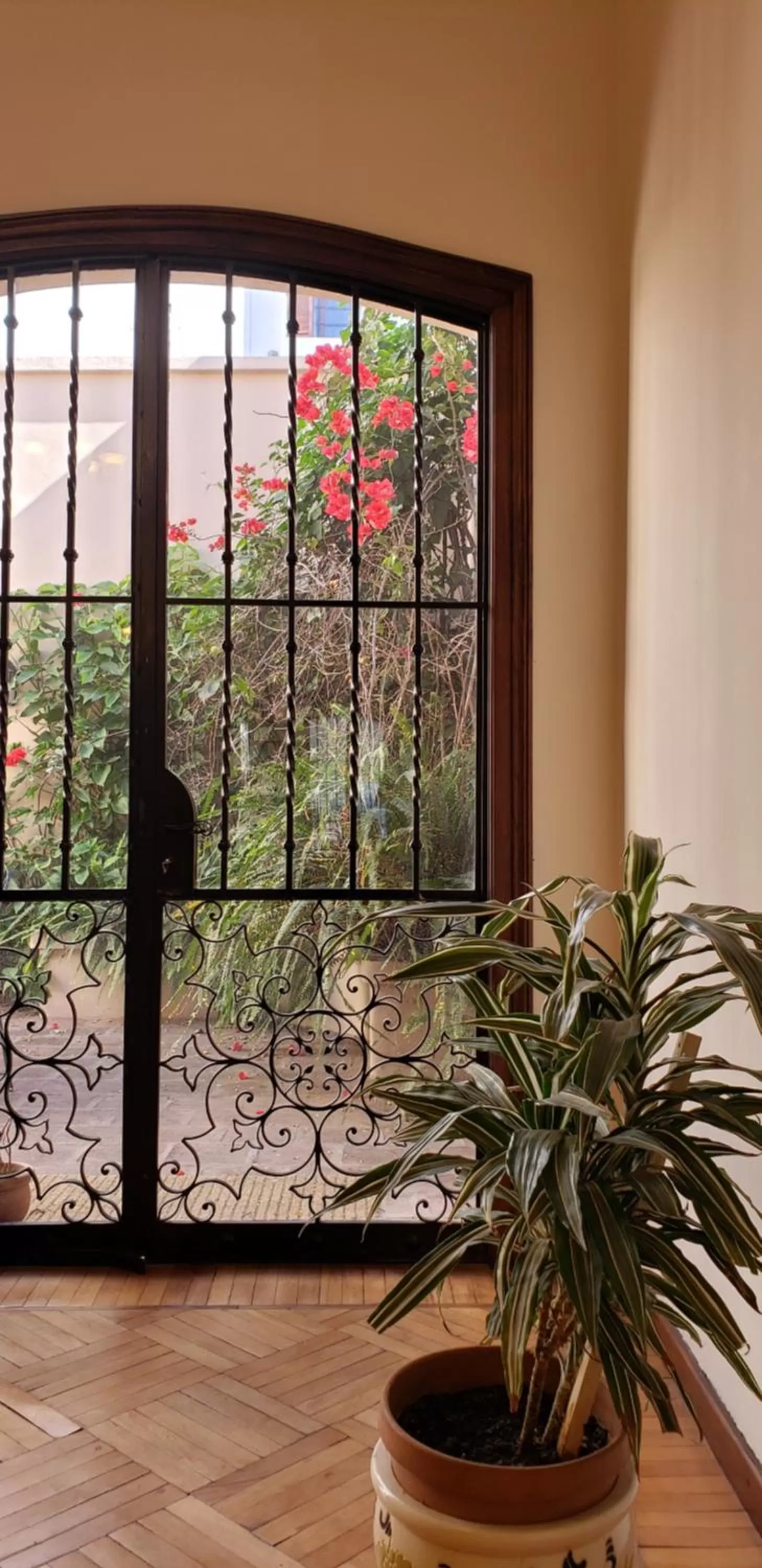 Posta del Ángel - Salta