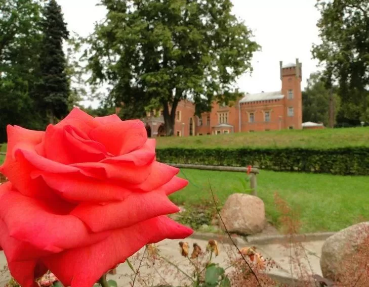 Other in Hotel Zamek Karnity