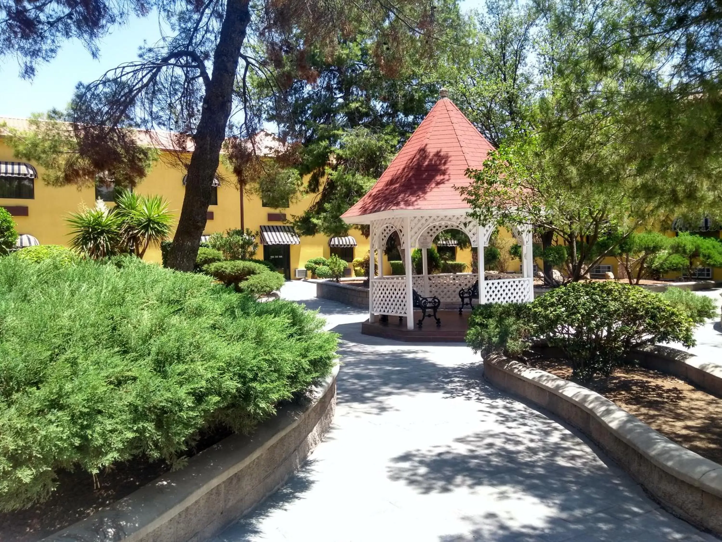 BBQ facilities, Swimming Pool in Holiday Inn Express Chihuahua, an IHG Hotel