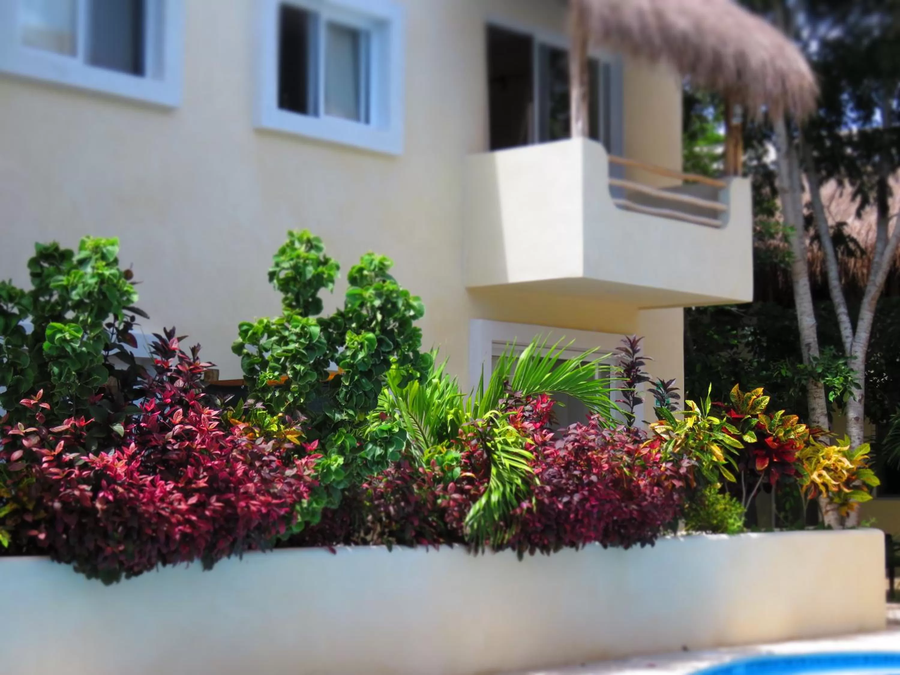 Property building in Hotel & Suites Oasis Bacalar