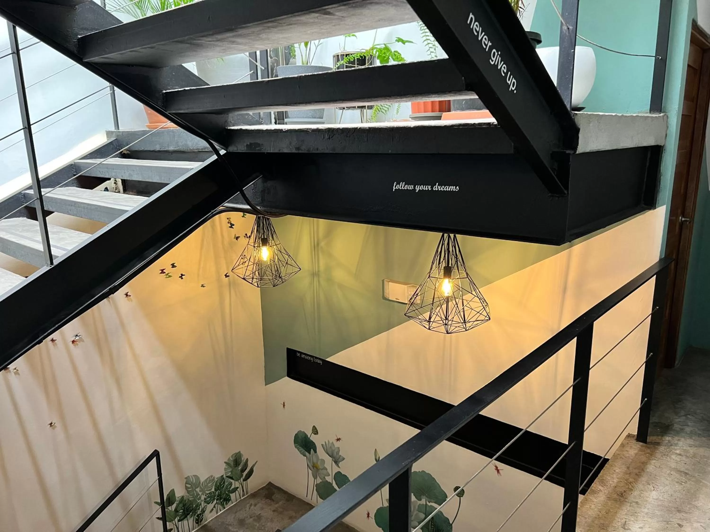 Area and facilities in Canova