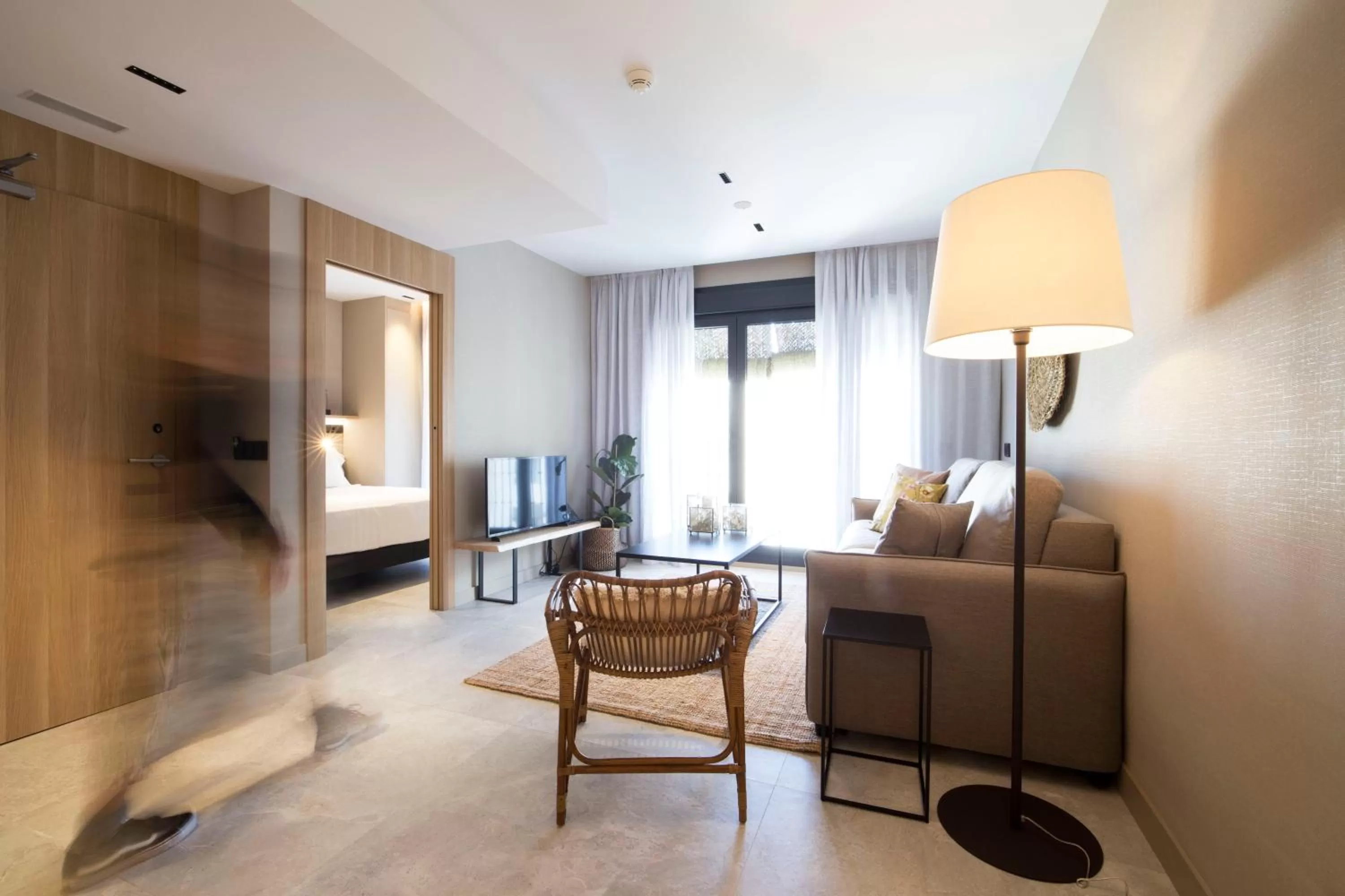 TV and multimedia in Zenit Sevilla