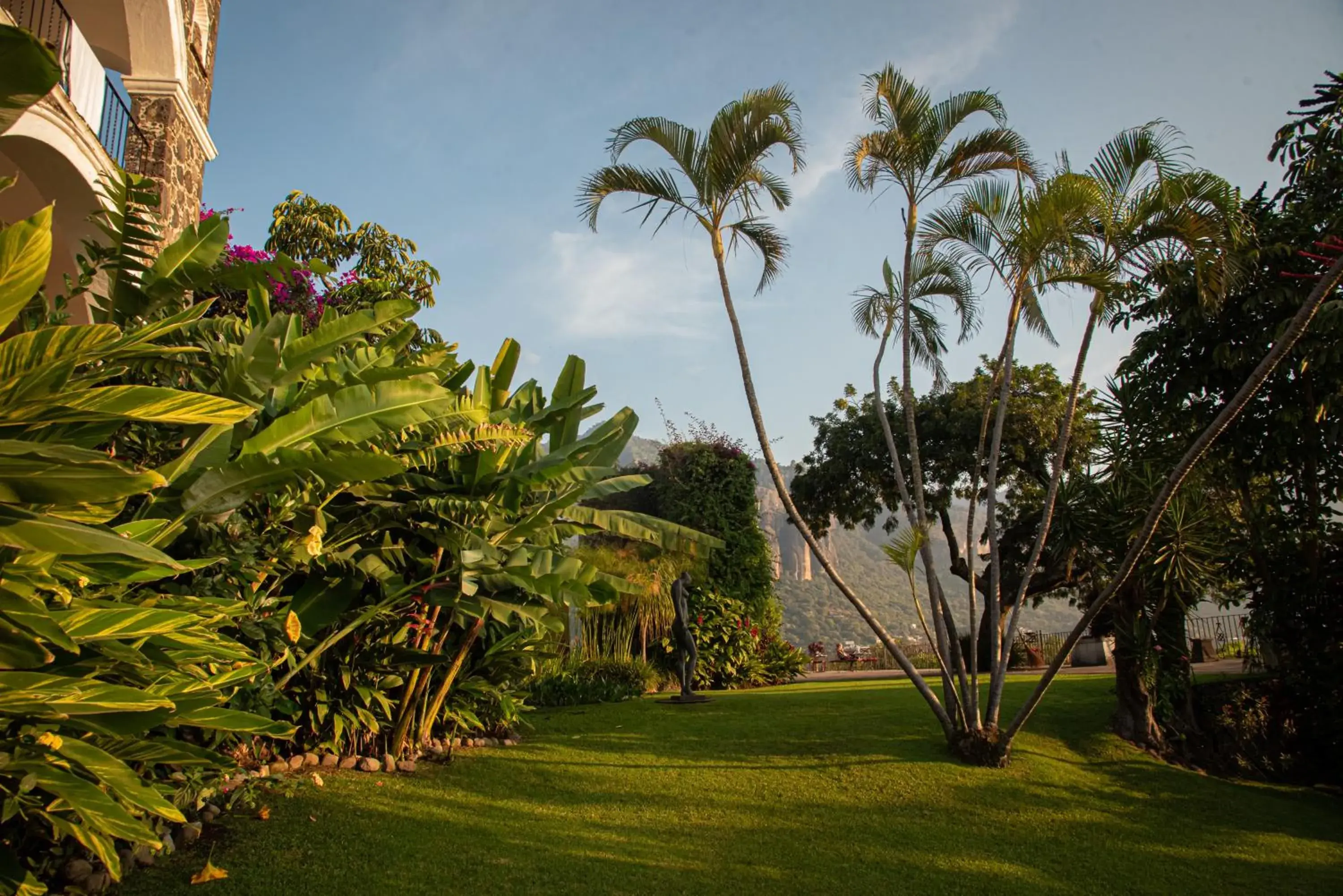 Natural landscape, Garden in Posada del Tepozteco