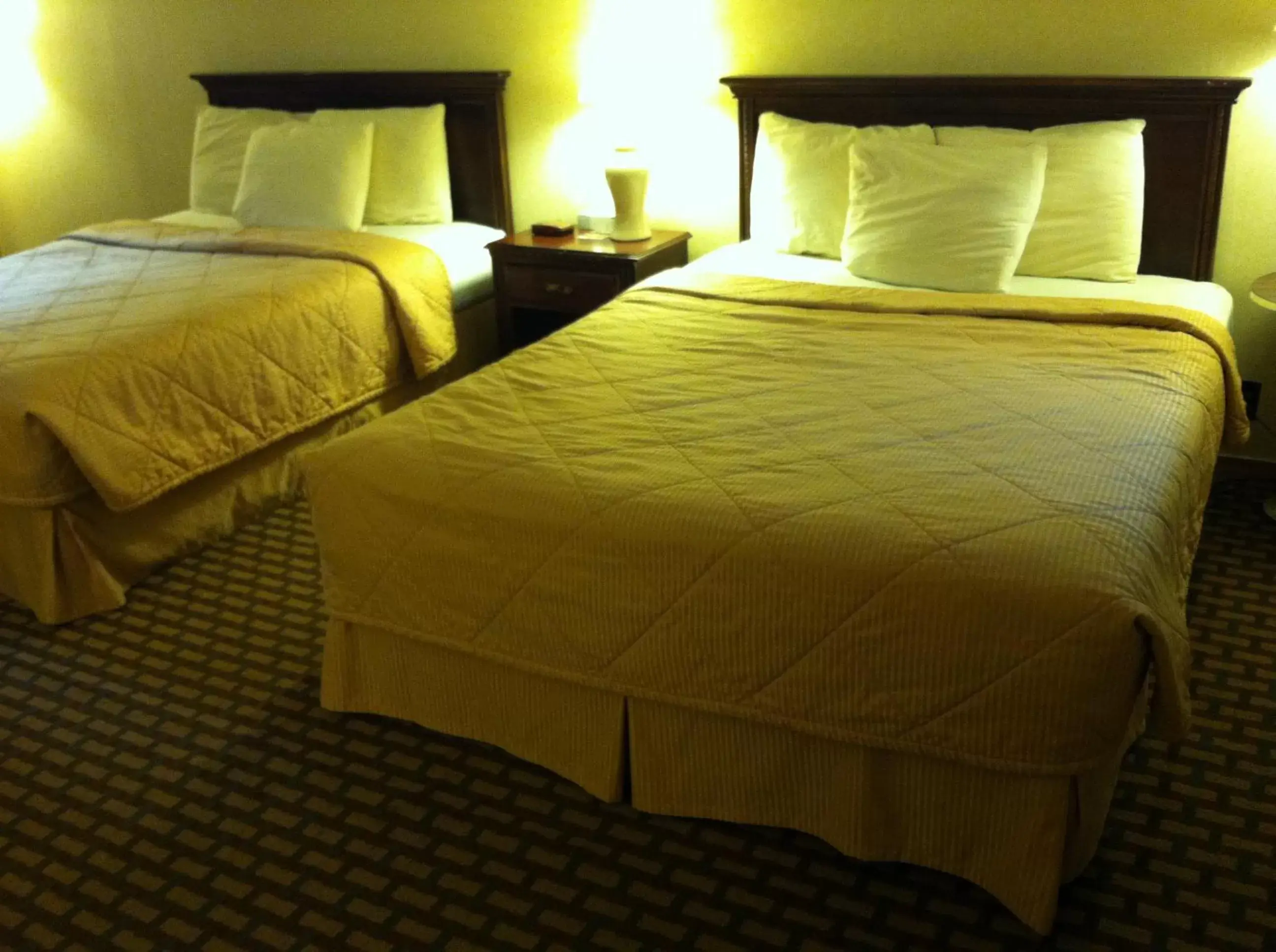 Bed in Franconia Notch Motel