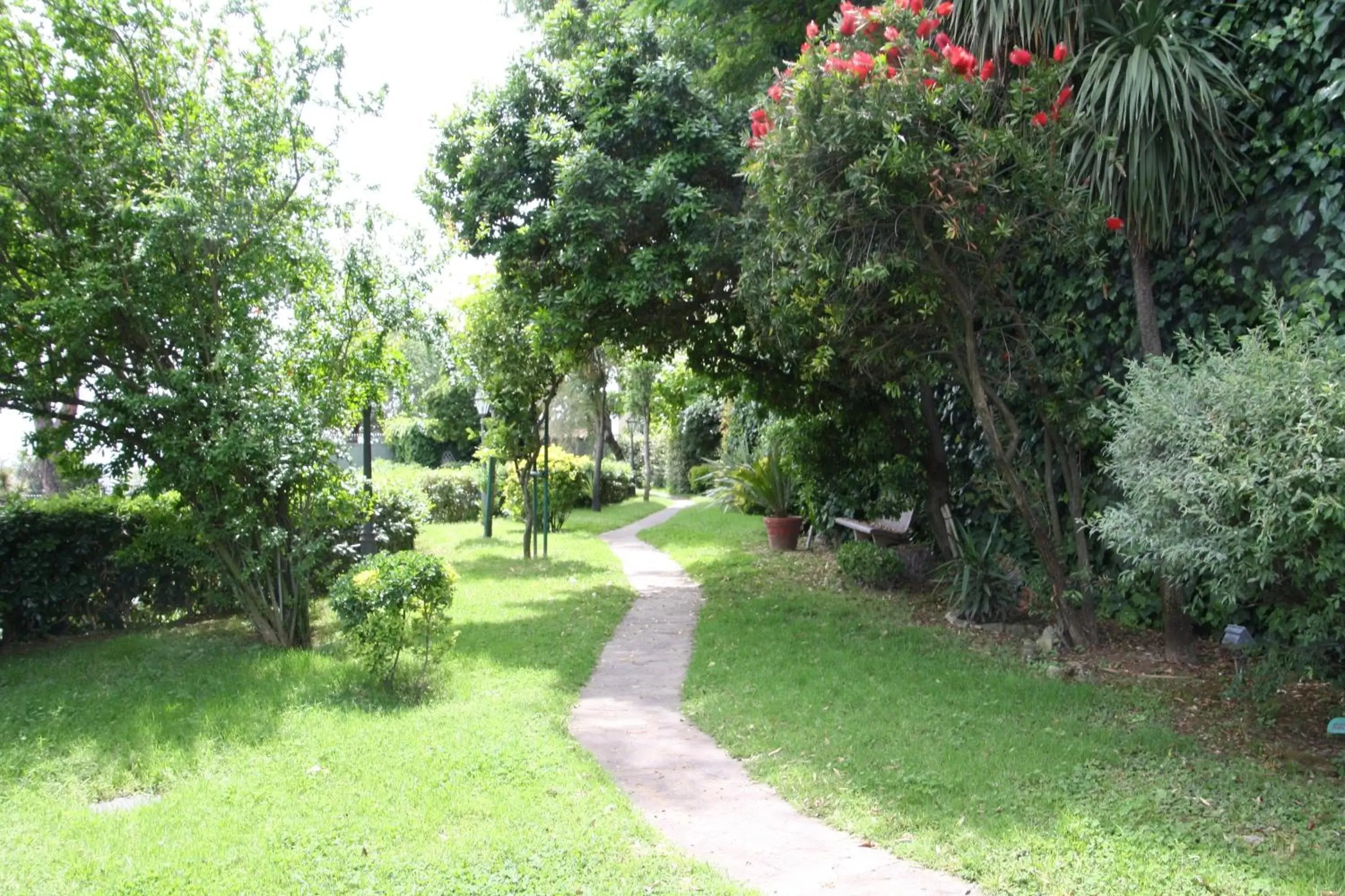 Garden view in Culture Hotel Villa Capodimonte Garden view in Culture Hotel Villa Capodimonte