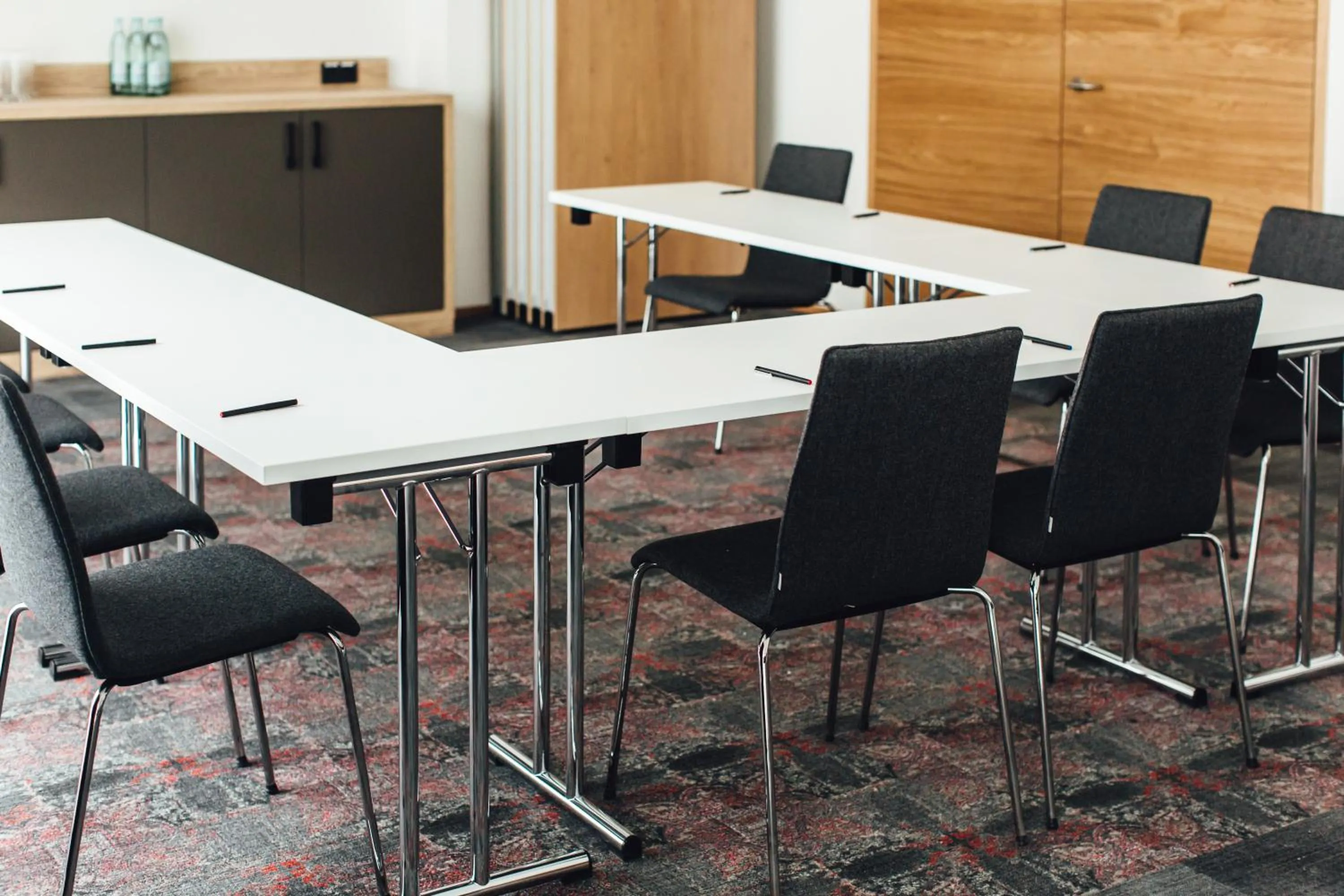 Business facilities in Hotel Edita