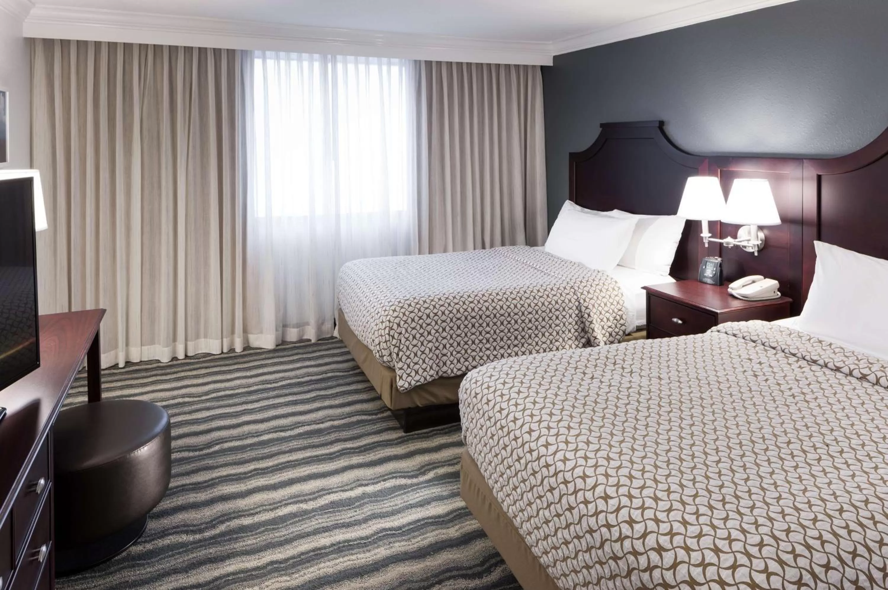 One-Bedroom Premium Suite in Embassy Suites by Hilton Tampa Brandon