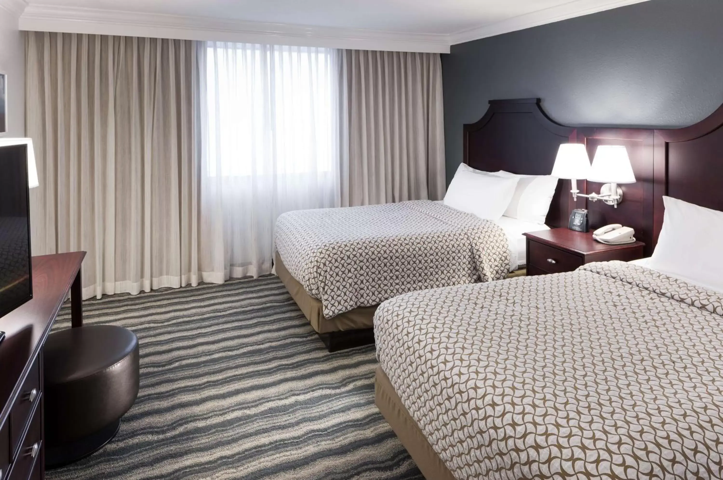 One-Bedroom Premium Suite in Embassy Suites by Hilton Tampa Brandon One-Bedroom Premium Suite in Embassy Suites by Hilton Tampa Brandon