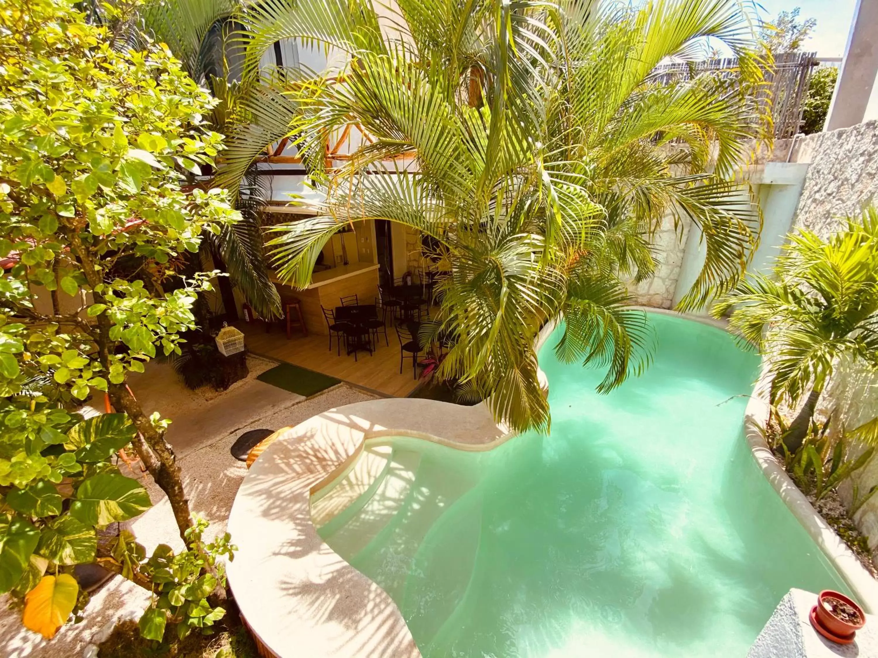 Patio, Pool View in Pacha Tulum Boutique Hotel