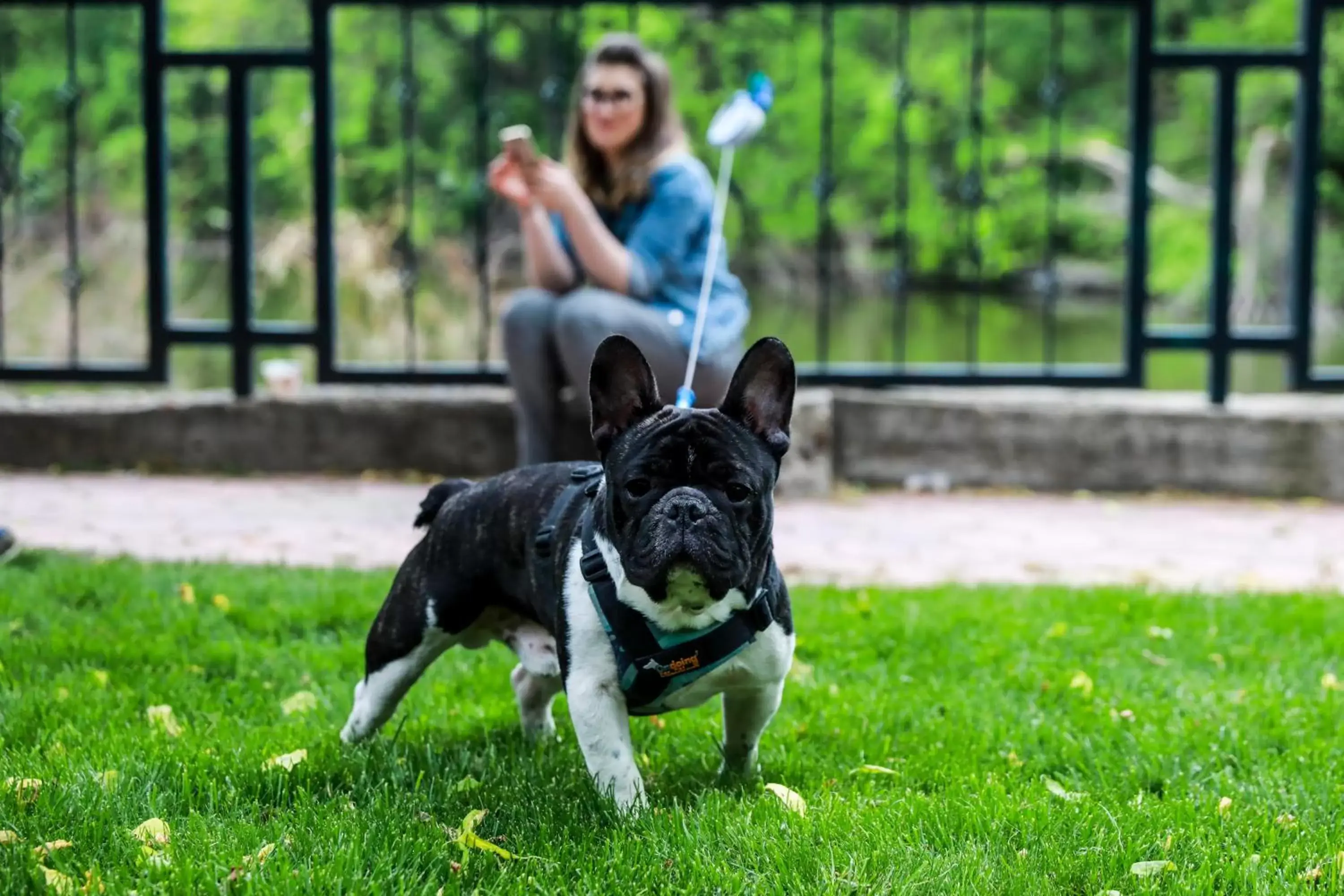 Natural landscape, Pets in Caro Hotel