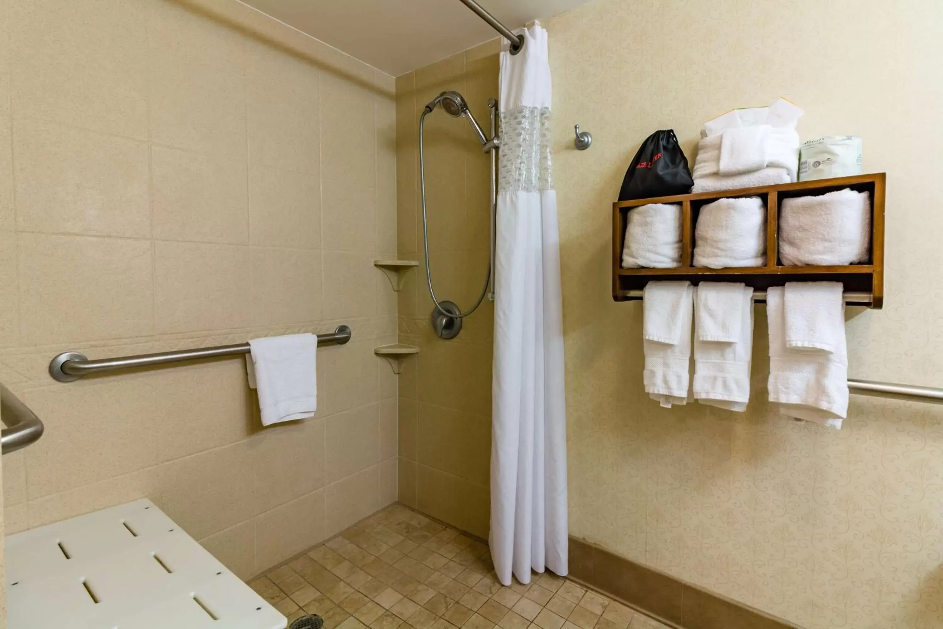 Bathroom in Hampton Inn Savannah Historic District