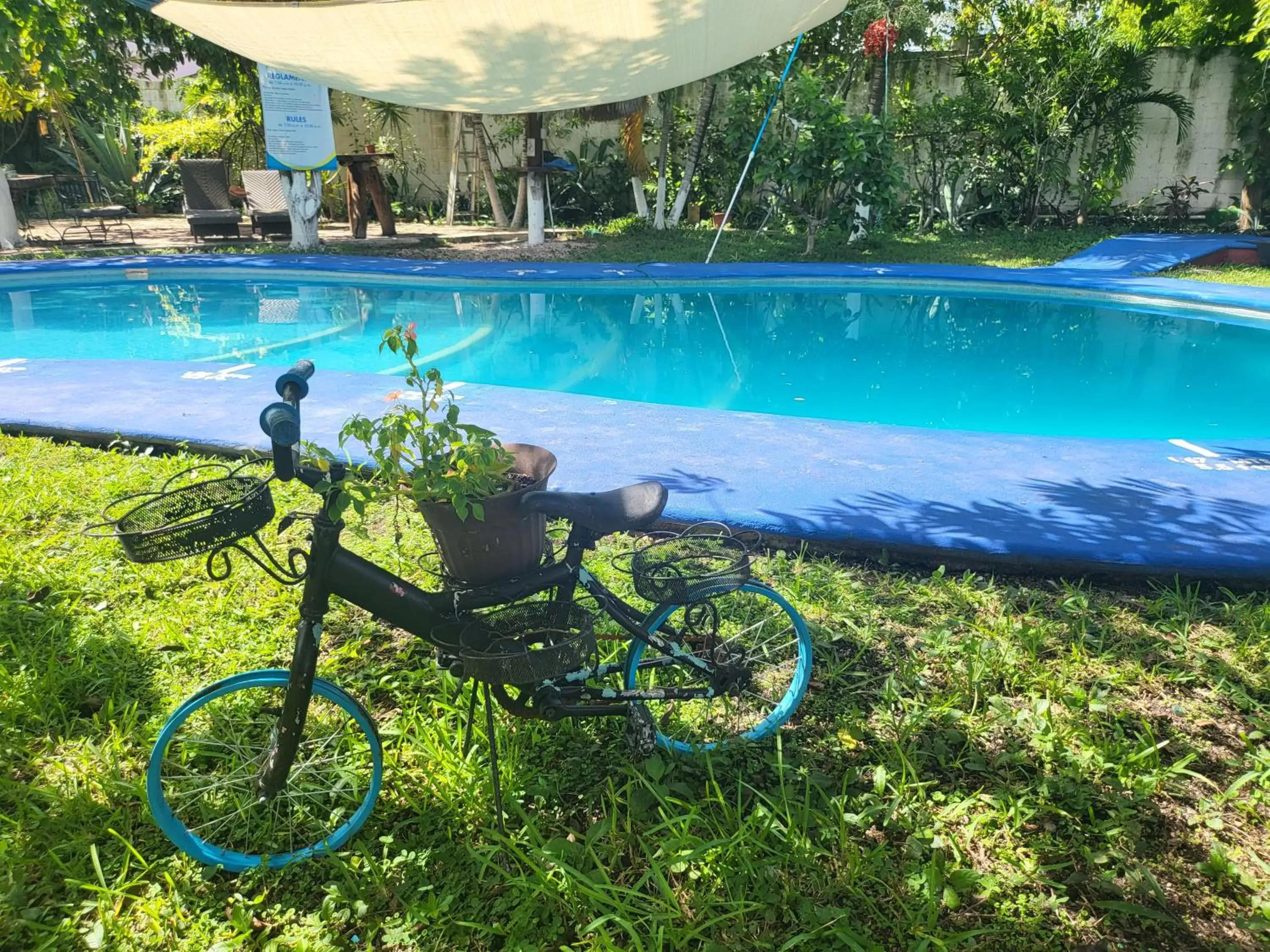 Swimming Pool in Cabañas Colibrí