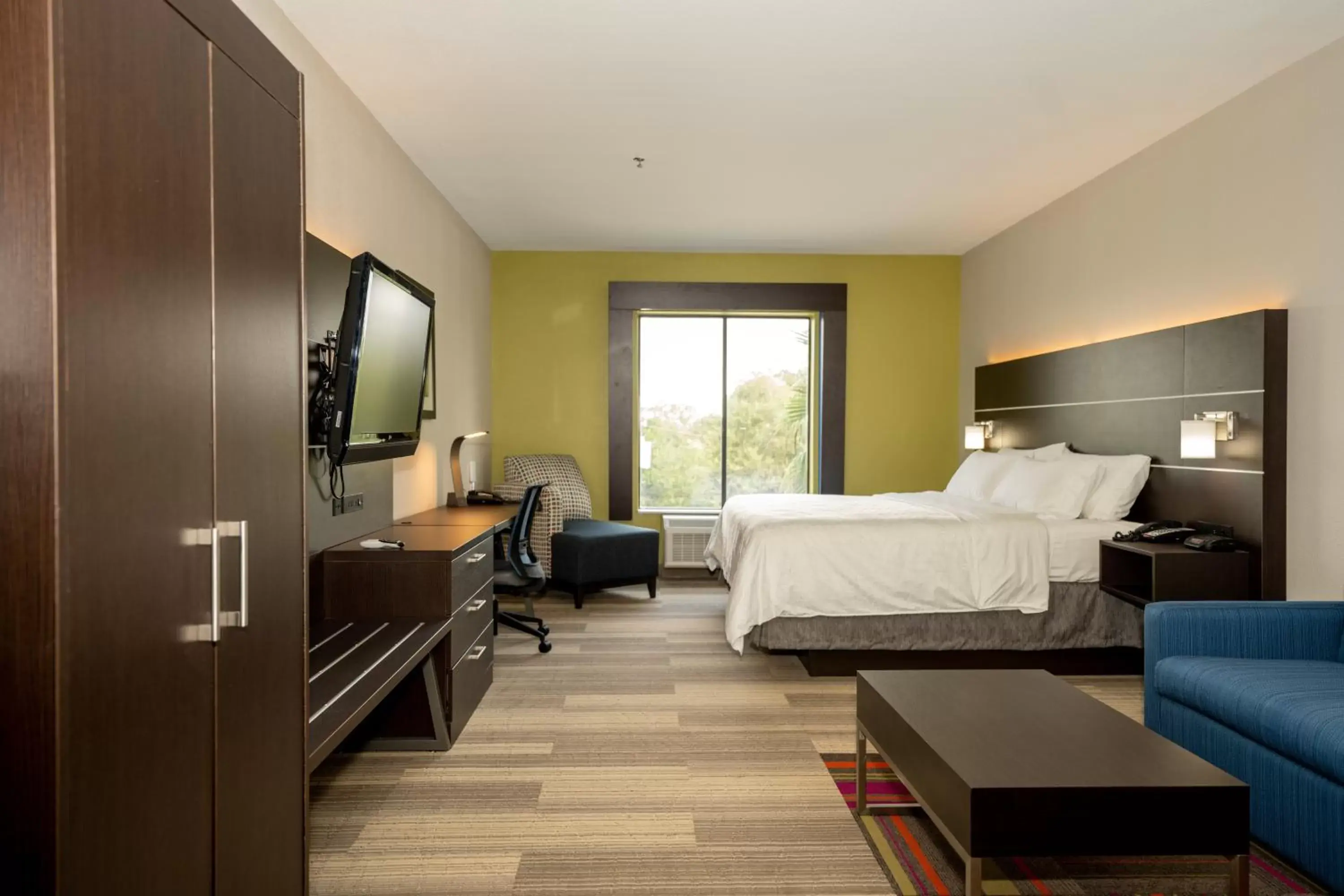 Photo of the whole room in Holiday Inn Express & Suites Deer Park, an IHG Hotel