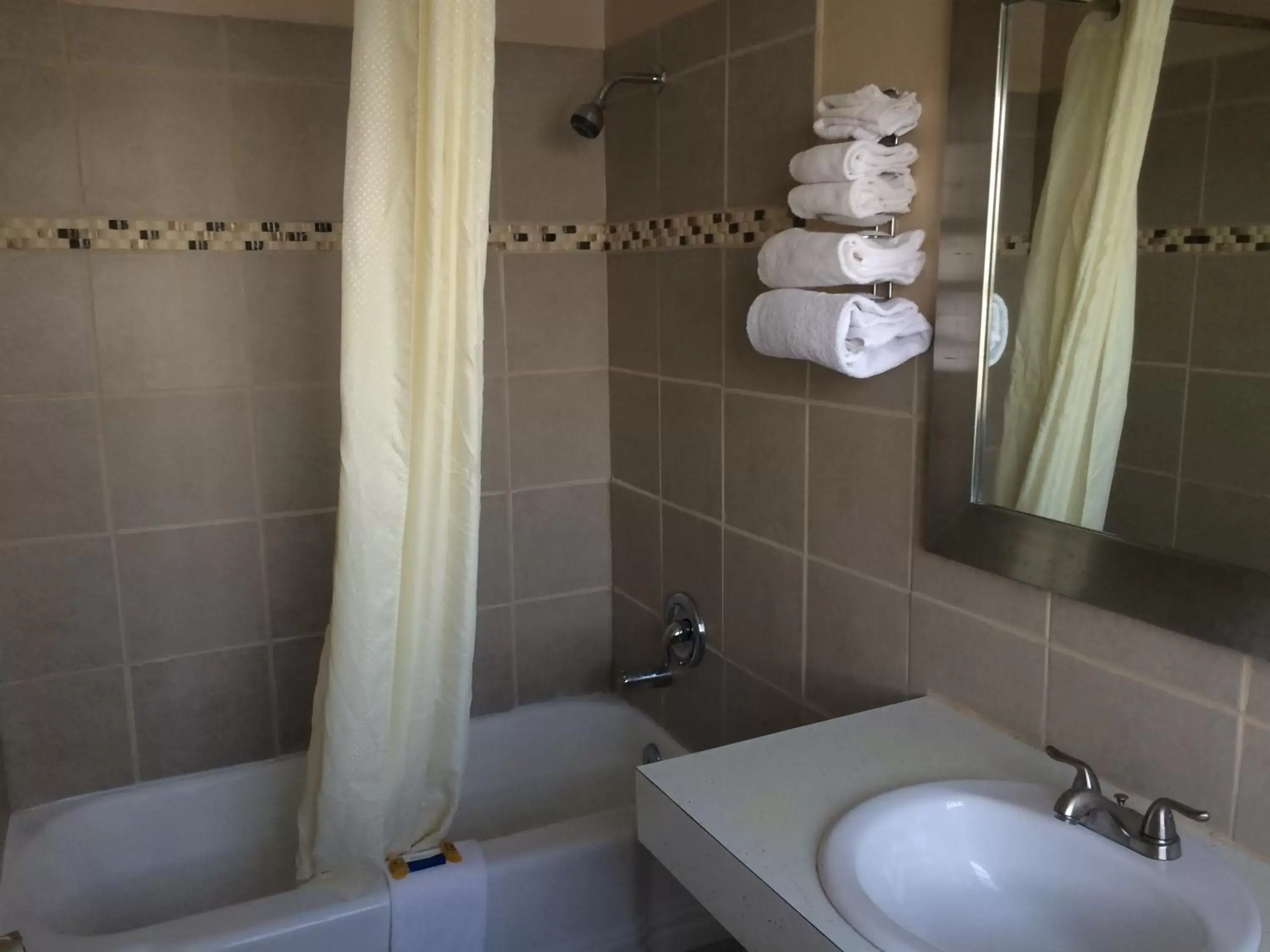 Shower, Bathroom in Alamo Motel