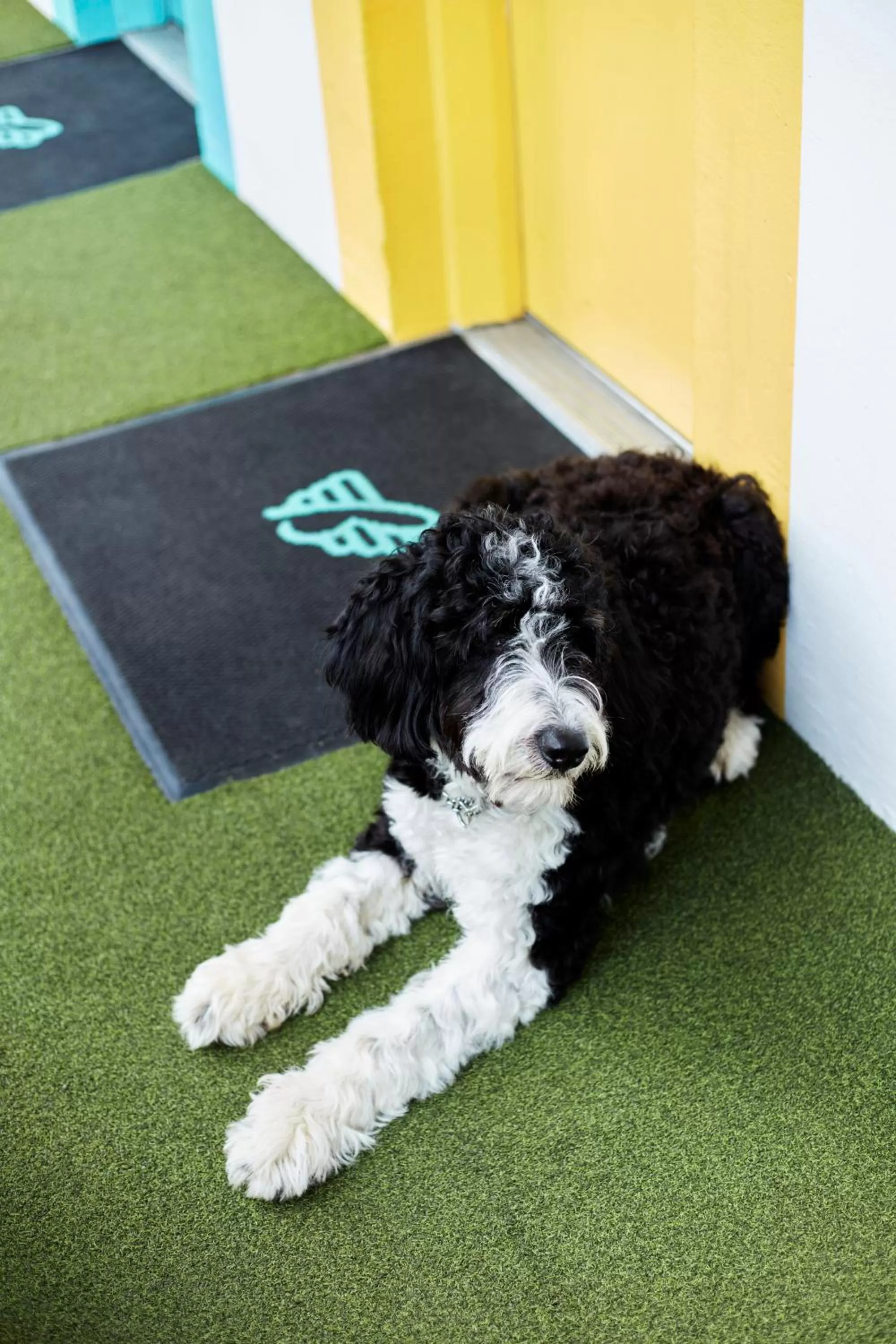 Decorative detail in The Burrard