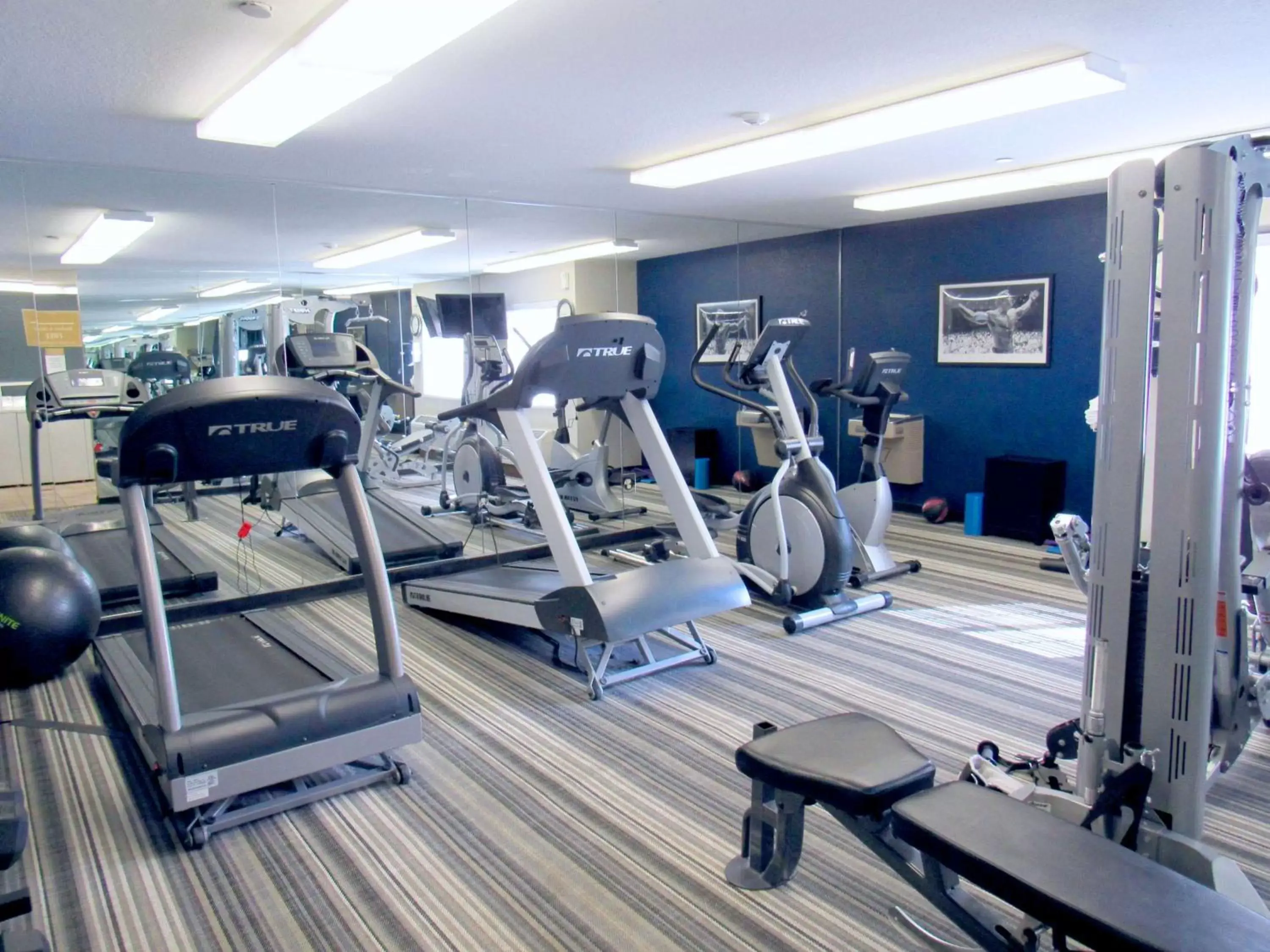 Spa and wellness centre/facilities, Fitness Center/Facilities in Sonesta Simply Suites Columbus Airport Gahanna