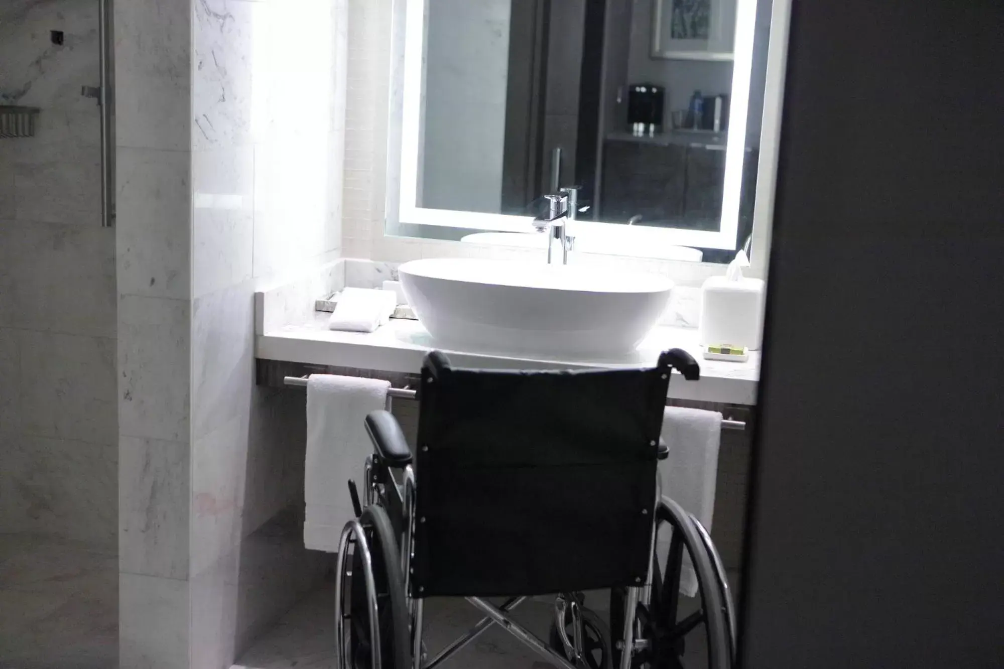 Facility for disabled guests, Bathroom in InterContinental Real Santo Domingo, an IHG Hotel