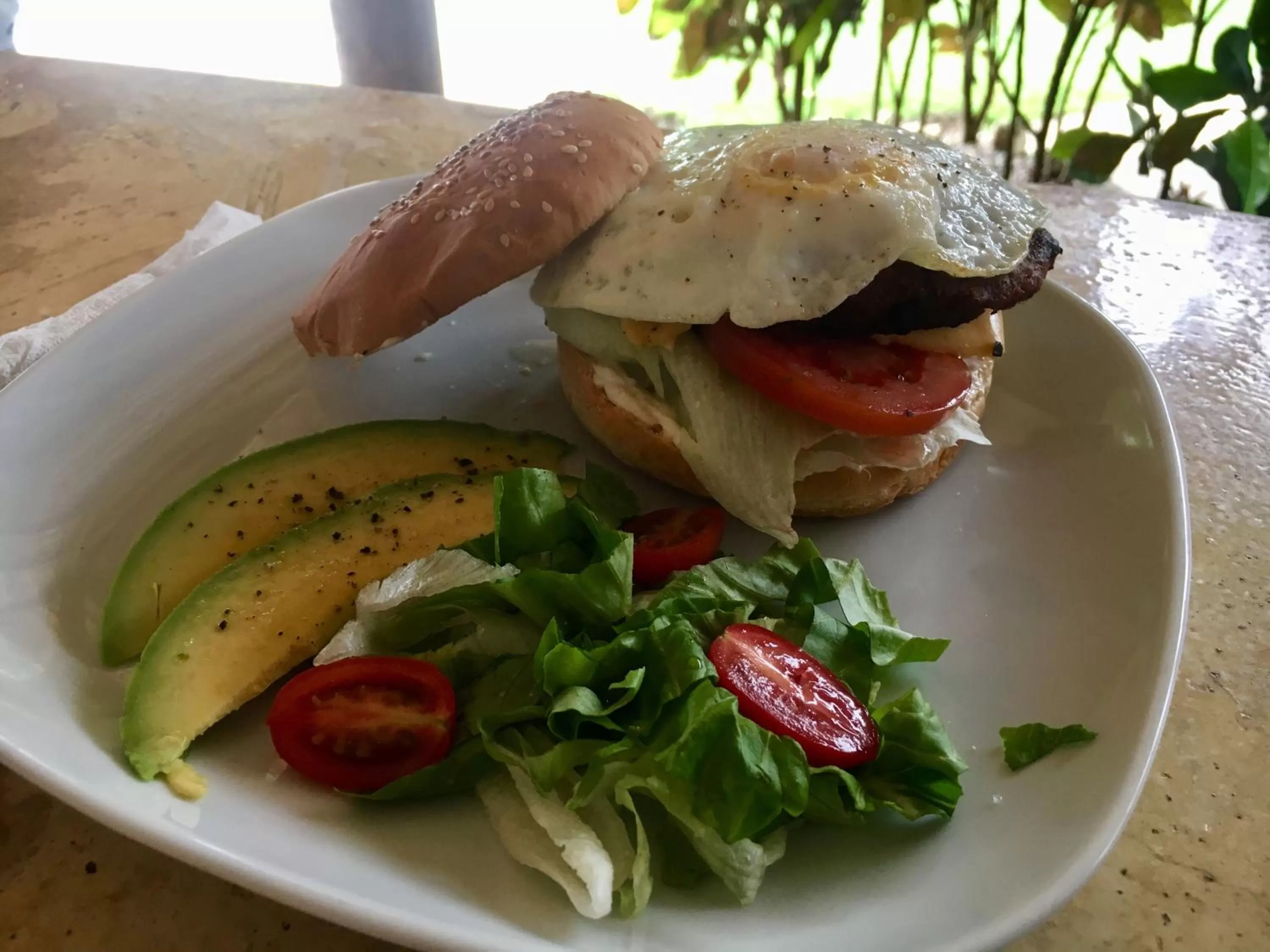 Food and drinks in Coral Blanco Hotel