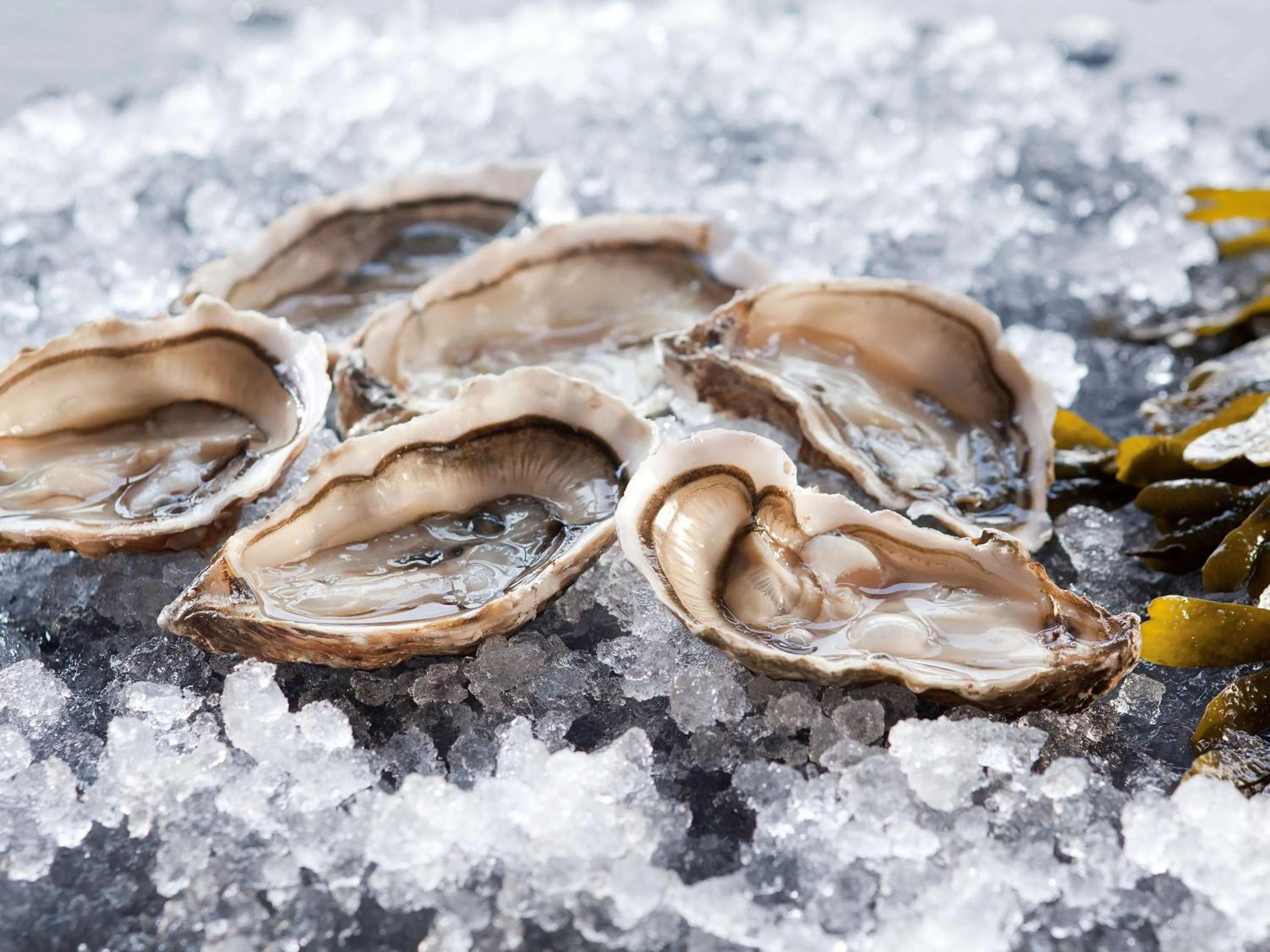 Restaurant/places to eat in Emeria Dinard Thalasso Spa