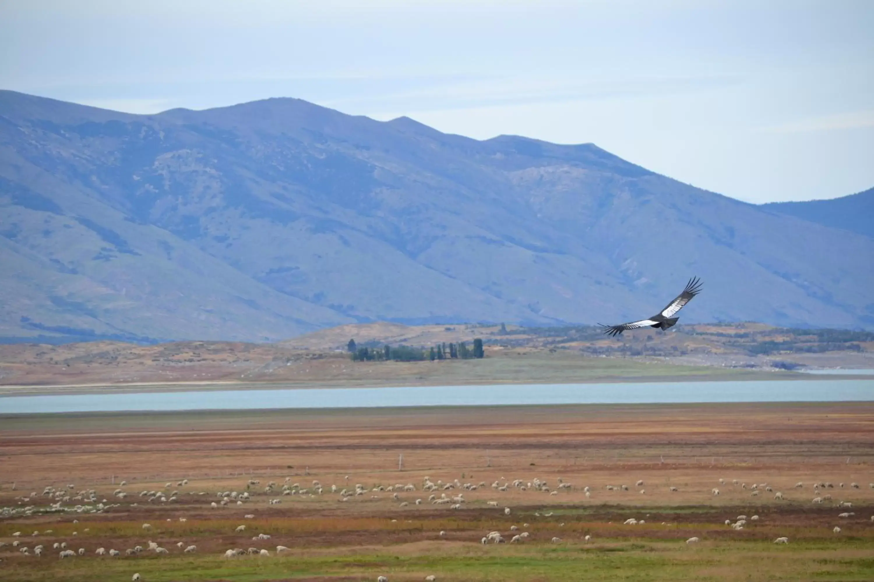 Day in MadreTierra Patagonia