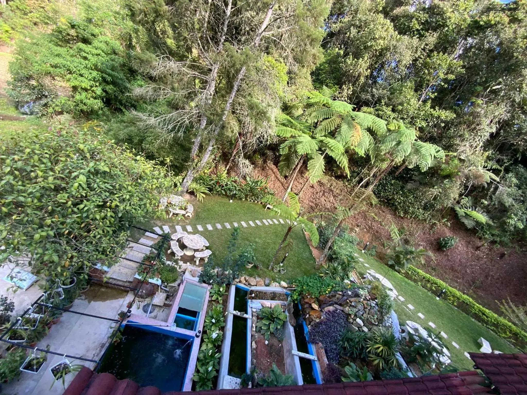 Bird's eye view, Bird's-eye View in Highlanders Garden Guesthouse