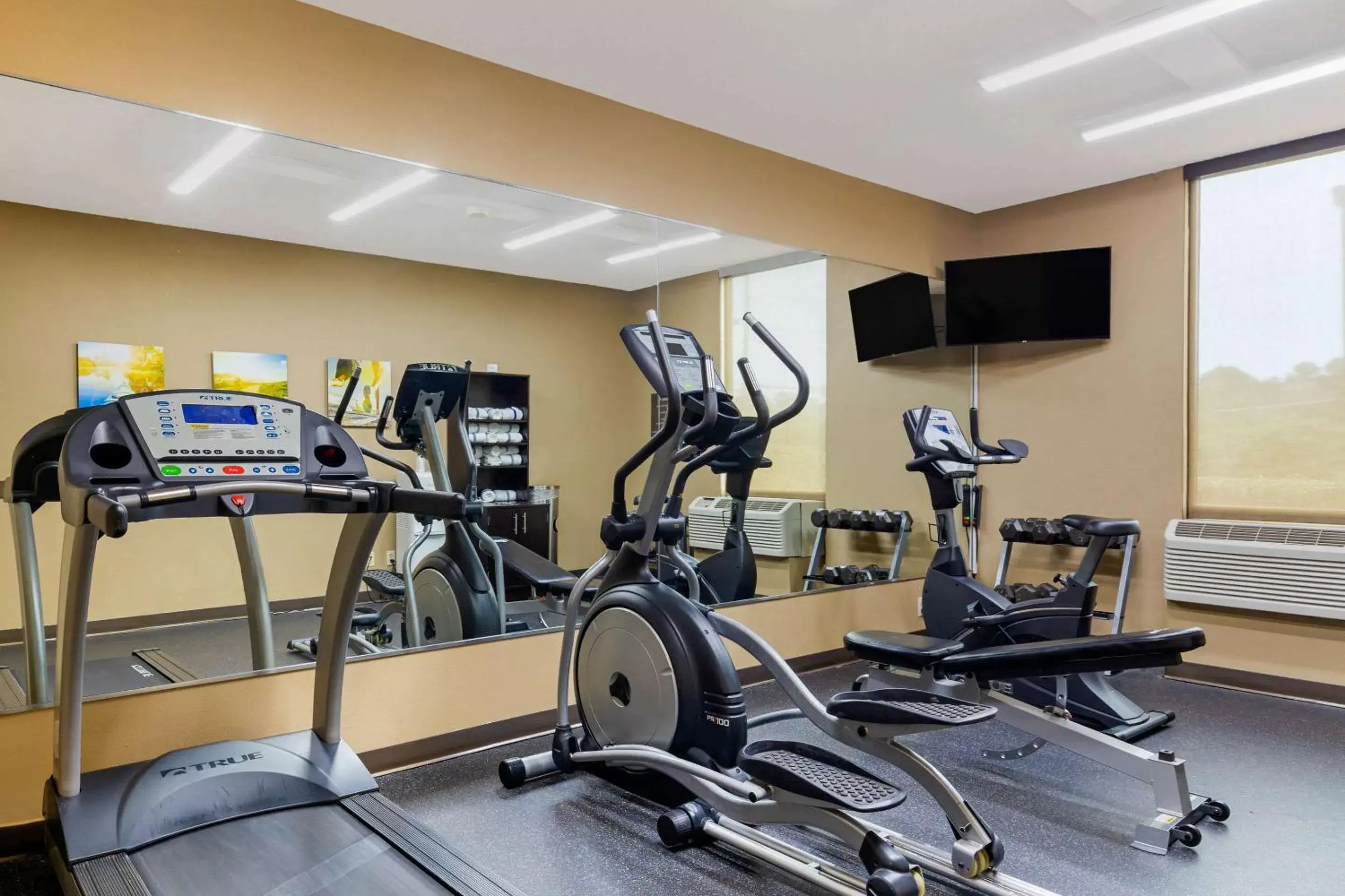 Fitness centre/facilities, Fitness Center/Facilities in Comfort Inn & Suites Durham near Duke University