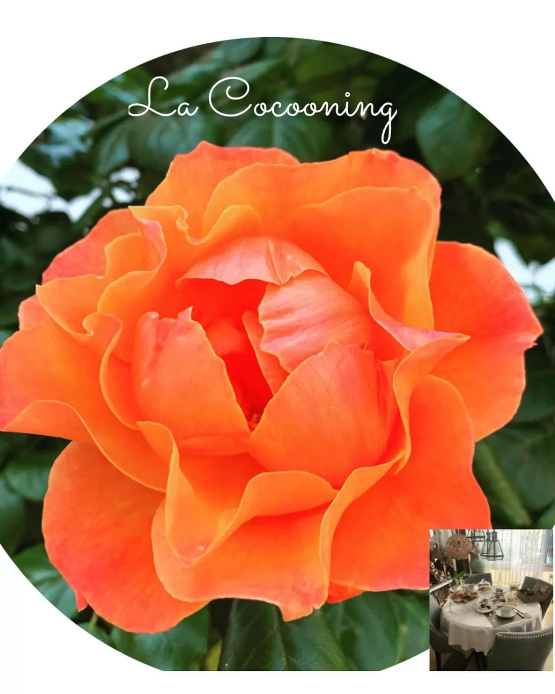 Chambre et sa salle de bain privée cocooning labellisée