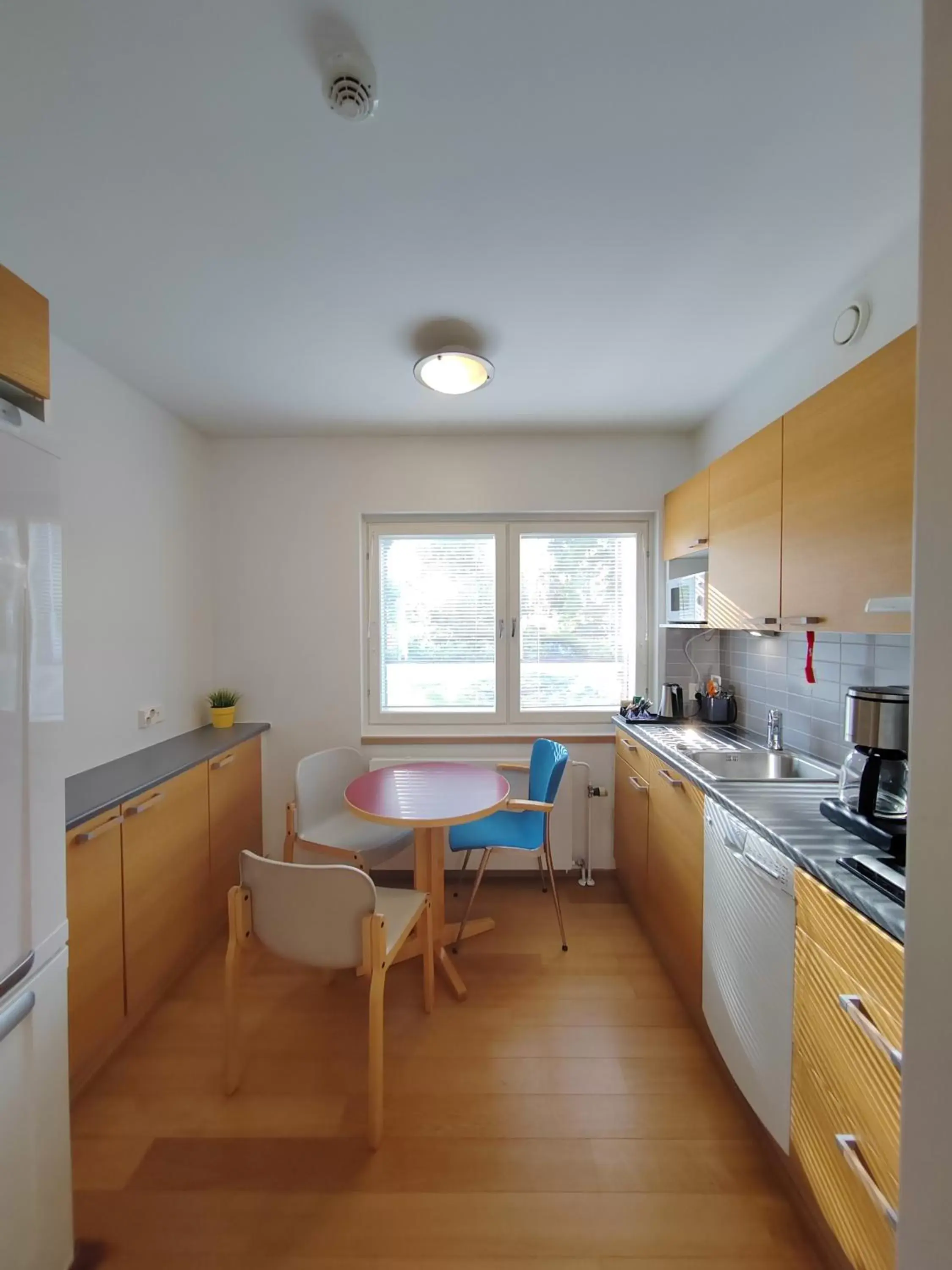 Kitchen or kitchenette, Kitchen/Kitchenette in Hotel Rantapuisto