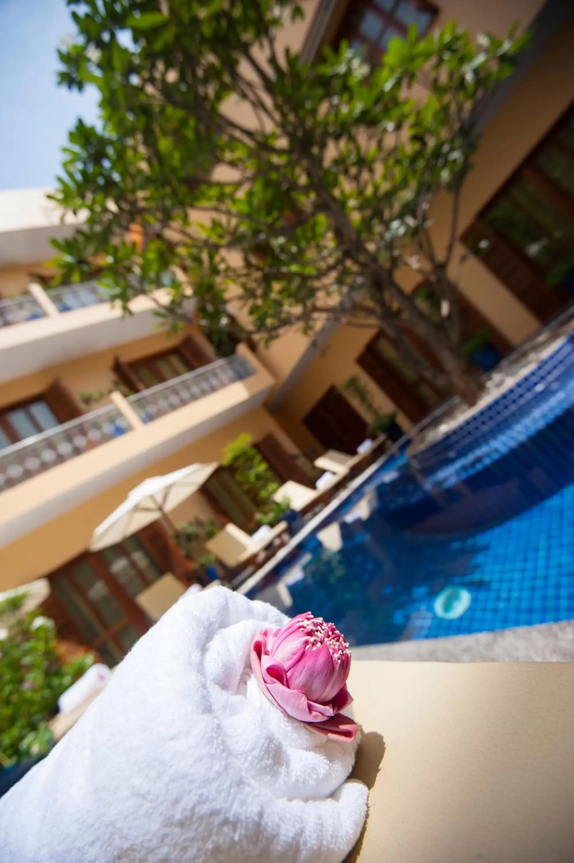 Pool view, Swimming Pool in House Boutique Eco Hotel