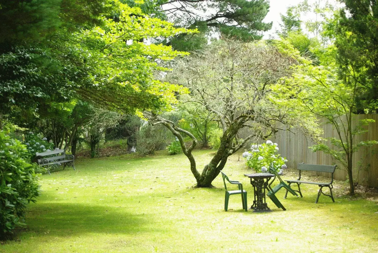 Garden in Blackheath Motor Inn