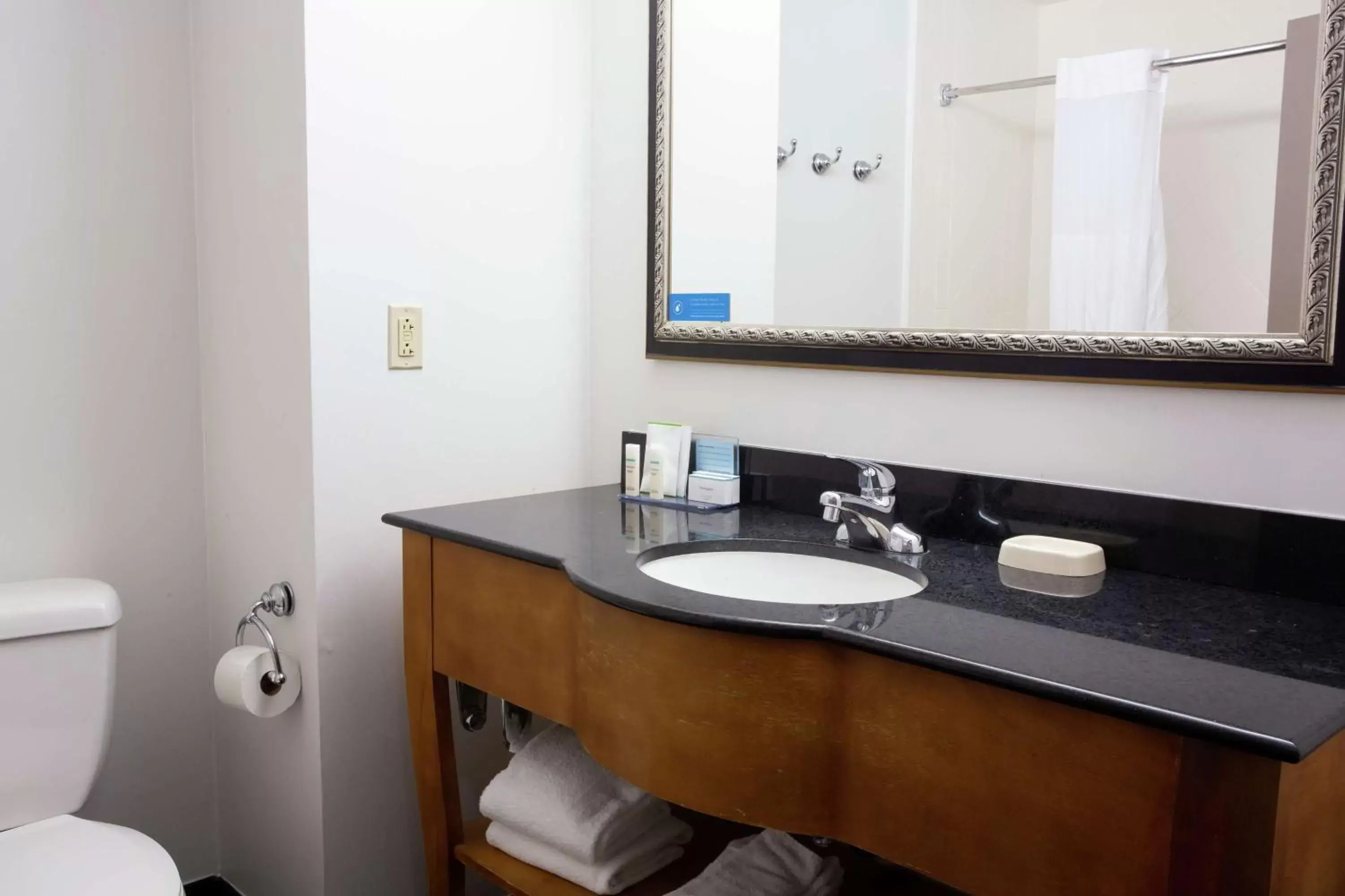 Bathroom in Hampton Inn & Suites Chesapeake-Square Mall