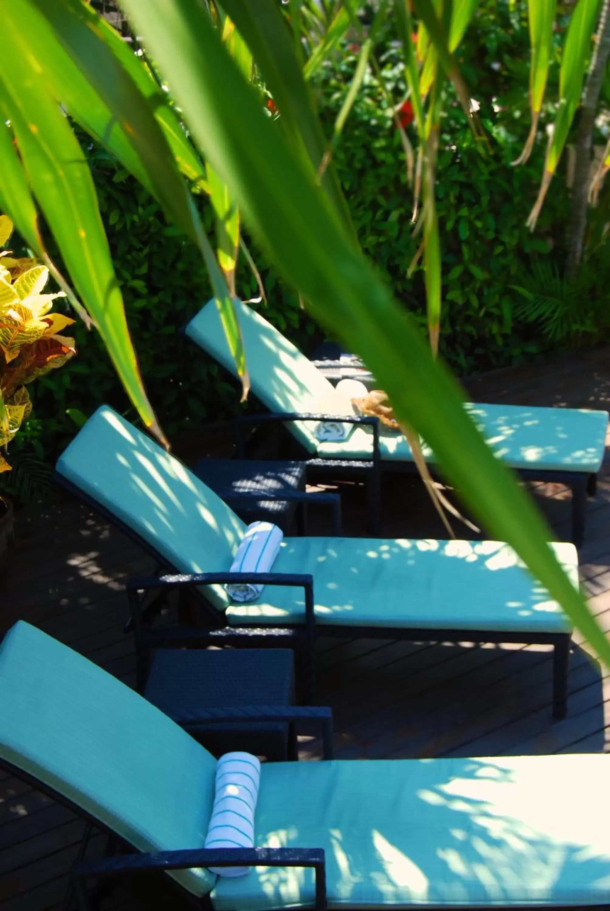 Seating area in Hotel Riviera Del Sol