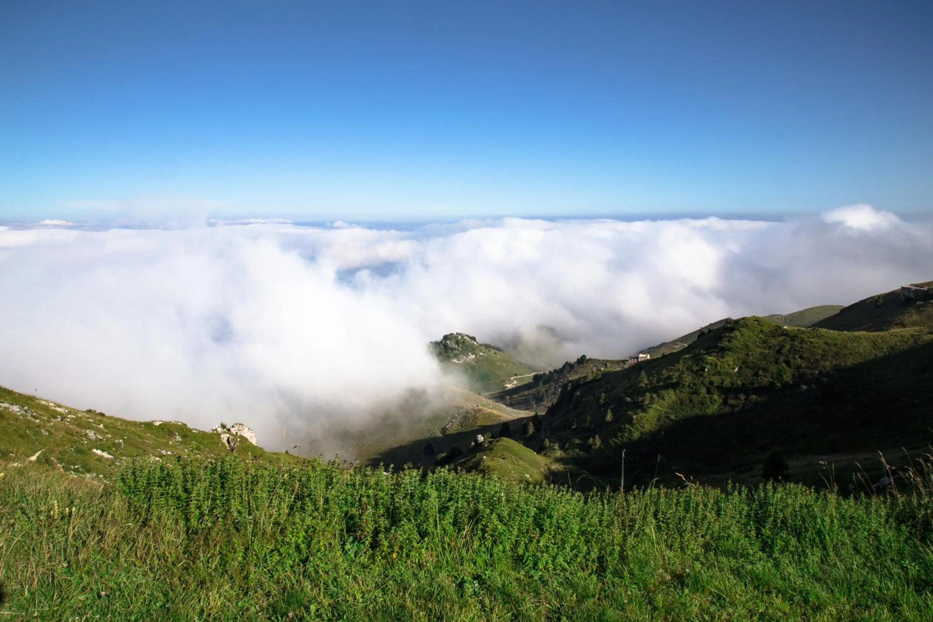 Natural landscape in Wine Hotel San Giacomo Activity & Wellness
