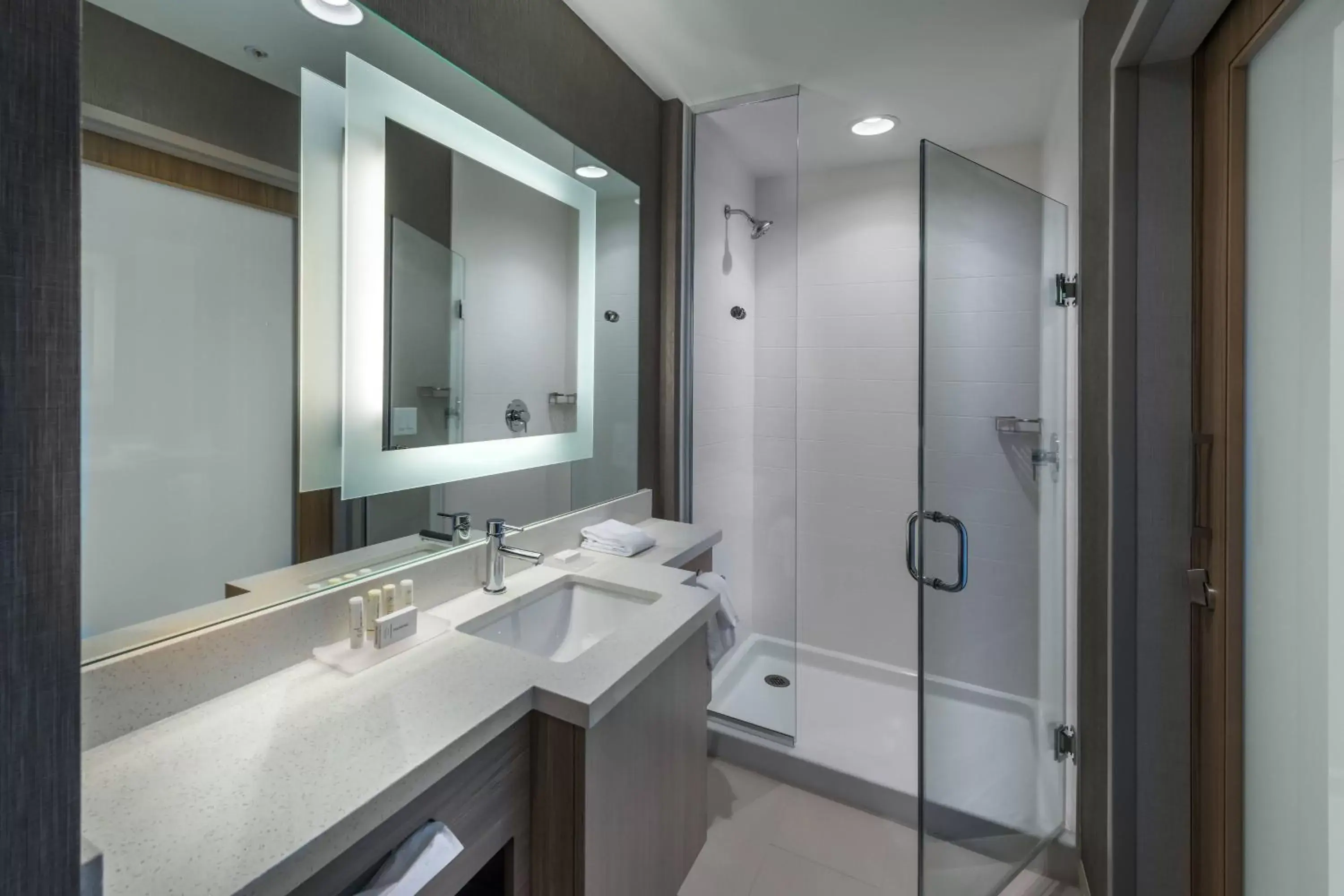 Bathroom in SpringHill Suites by Marriott Reno