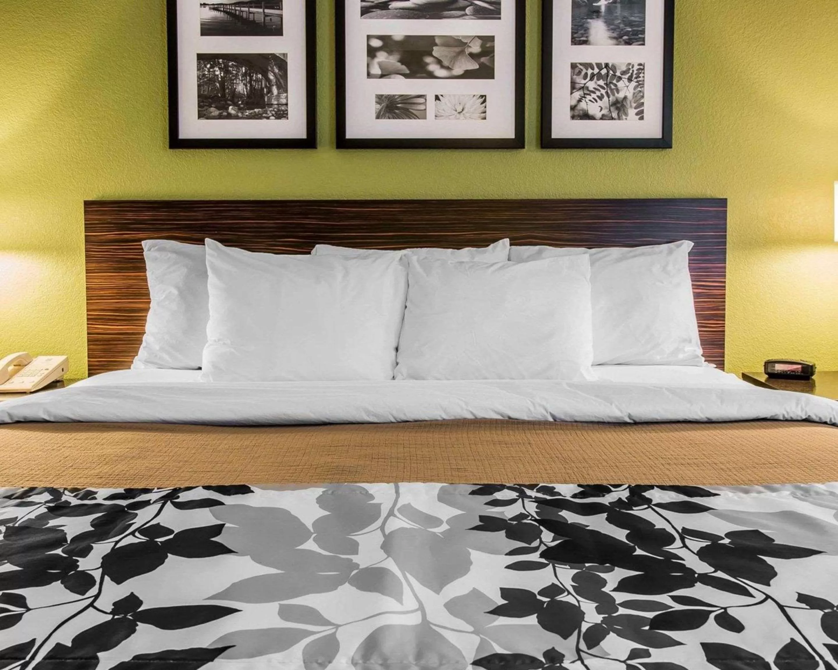 Photo of the whole room, Bed in Sleep Inn