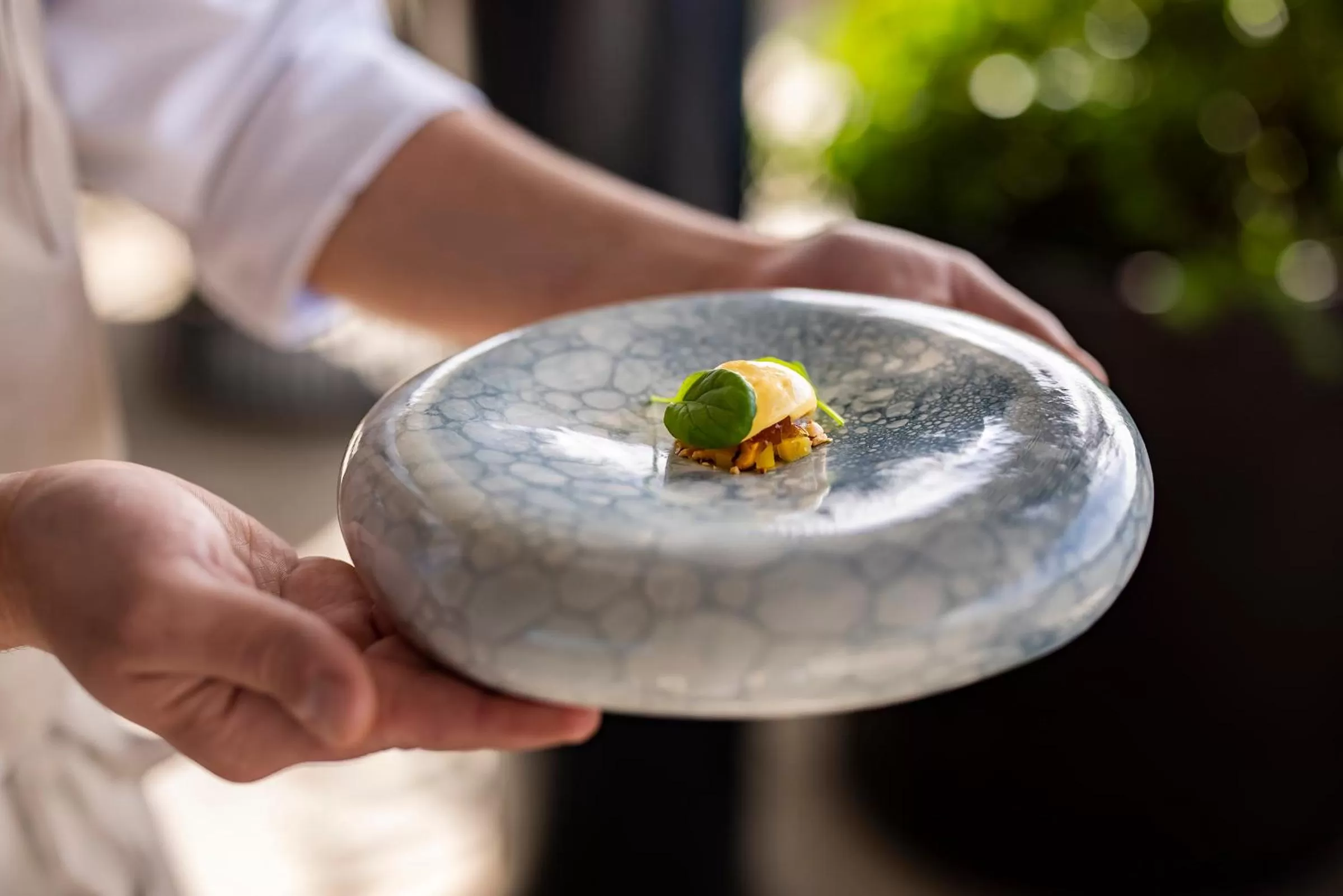 Restaurant/places to eat in Grand Park Hotel Rovinj by Maistra Collection